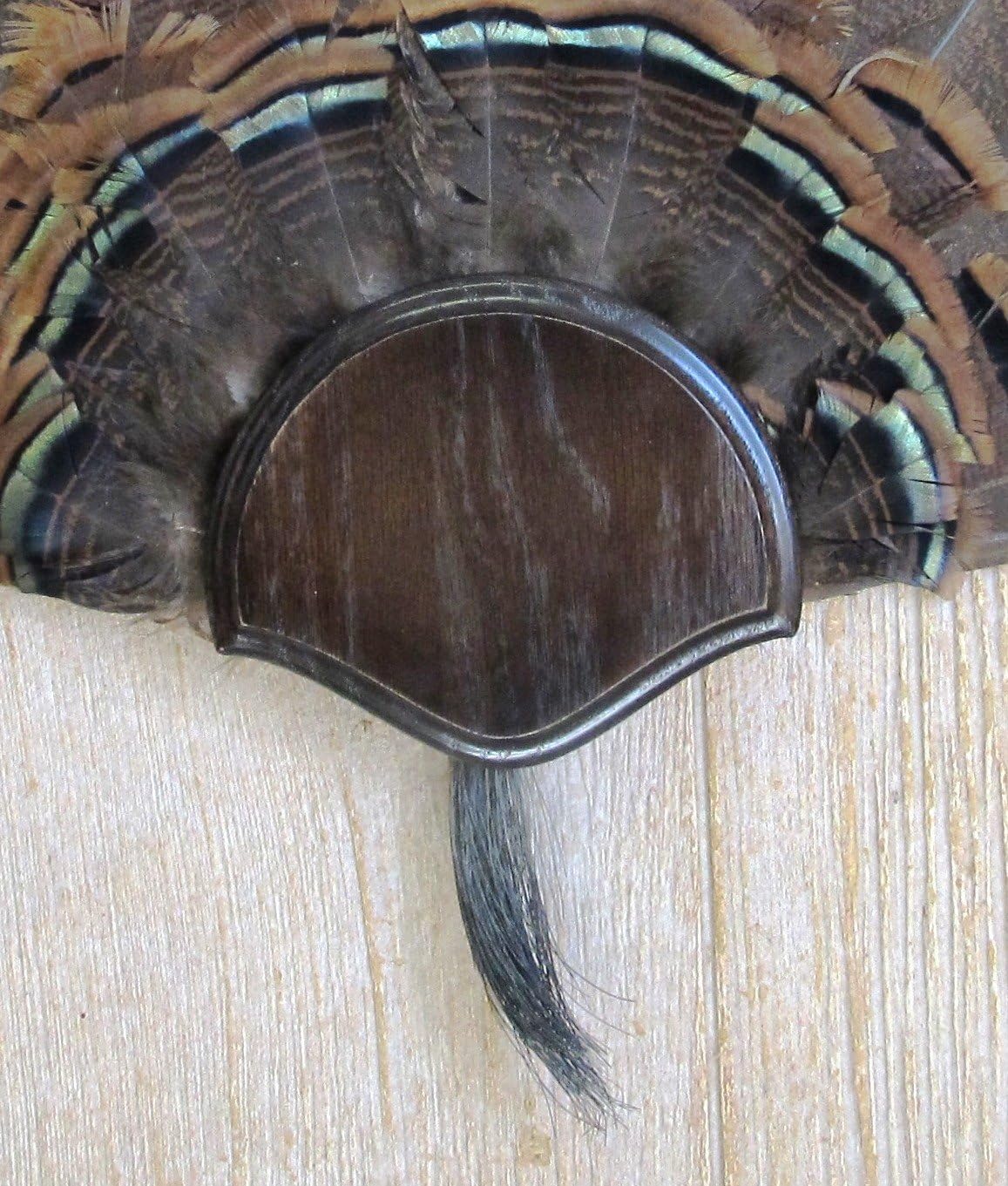 The Taxidermists Woodshop Dark Oak Turkey Mounting Kit -01
