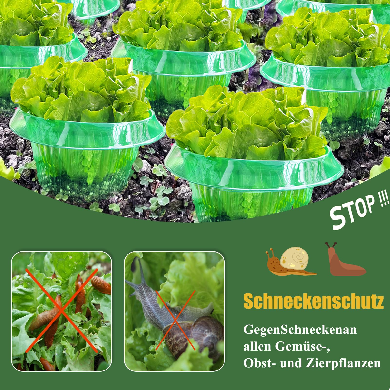 Collare Anti-lumache, Protezione Anti-lumache, Granuli Anti-lumache, Protegge le Piante Senza Agenti Chimici (12 PZ)
