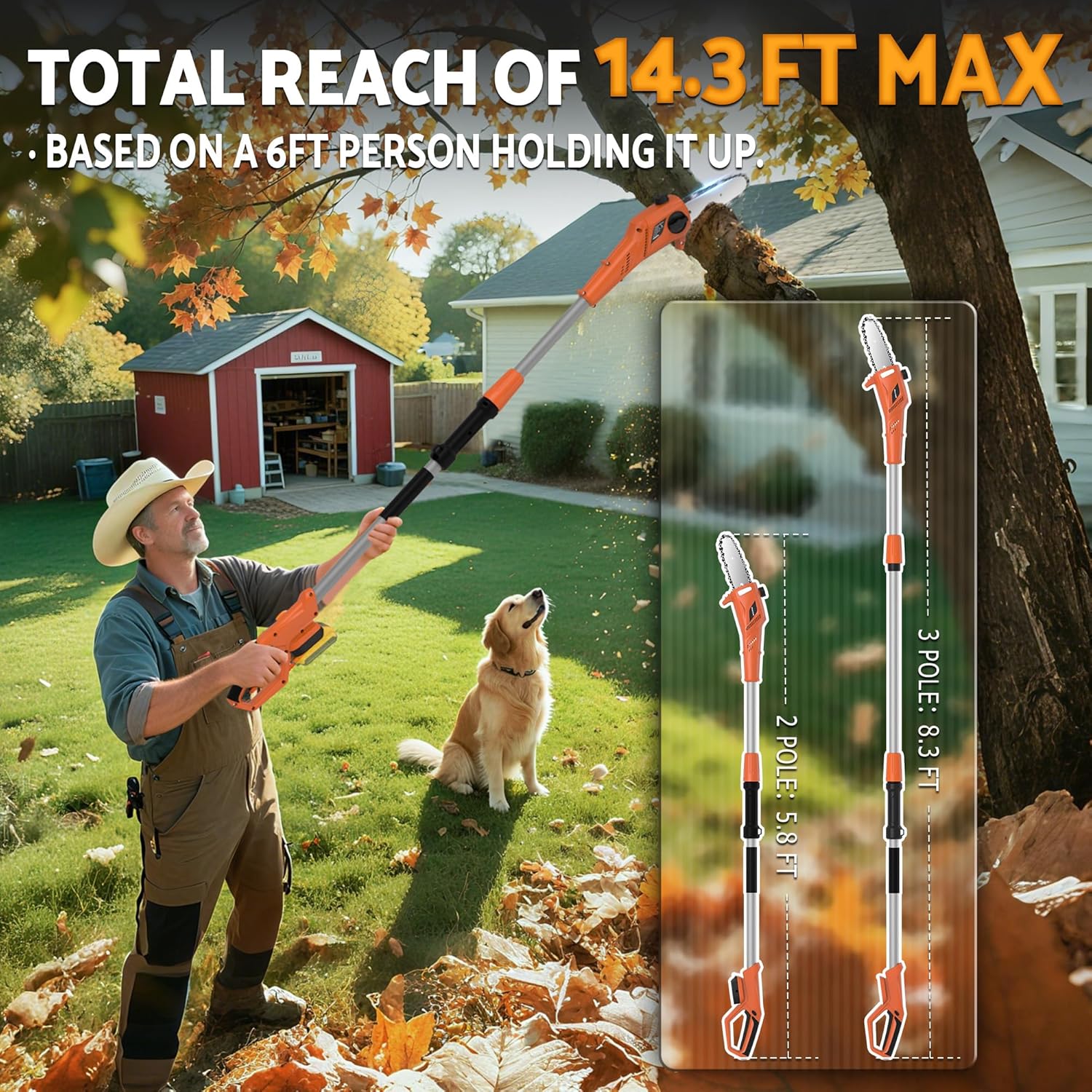 Cordless Pole Saw (NO BATTERY) Compatible with Dewalt 20V Battery, 8 Inch Electric Pole Saw with Extension Pole 14.3 FT Max, Pole Saws for Tree Trimming, 13 FT/S Cutting speed Auto Lubrication System