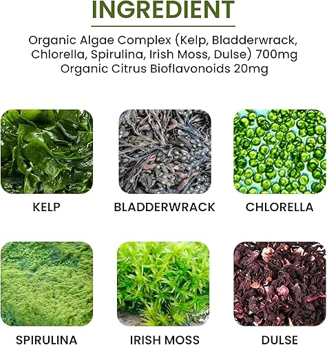 Miniatura 3 de Algas, Fucoidan, Algas Verde Azul, Algas Kelp, Vejiga, Clorella, Espirulina, Musgo Irlandés, Dulse, 90 VCaps, Alta Absorbibilidad, Sin OMG, Sin