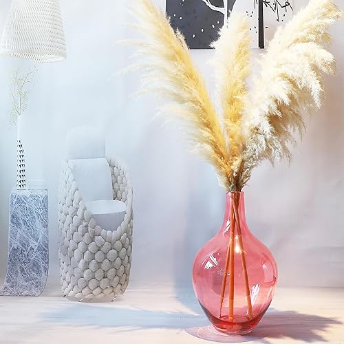 Miniatura 2 de Jarrón de vidrio extra grande de 20 pulgadas para hierba alta de las pampas, florero redondo grande para plantas de ramas altas, jarrón de globo