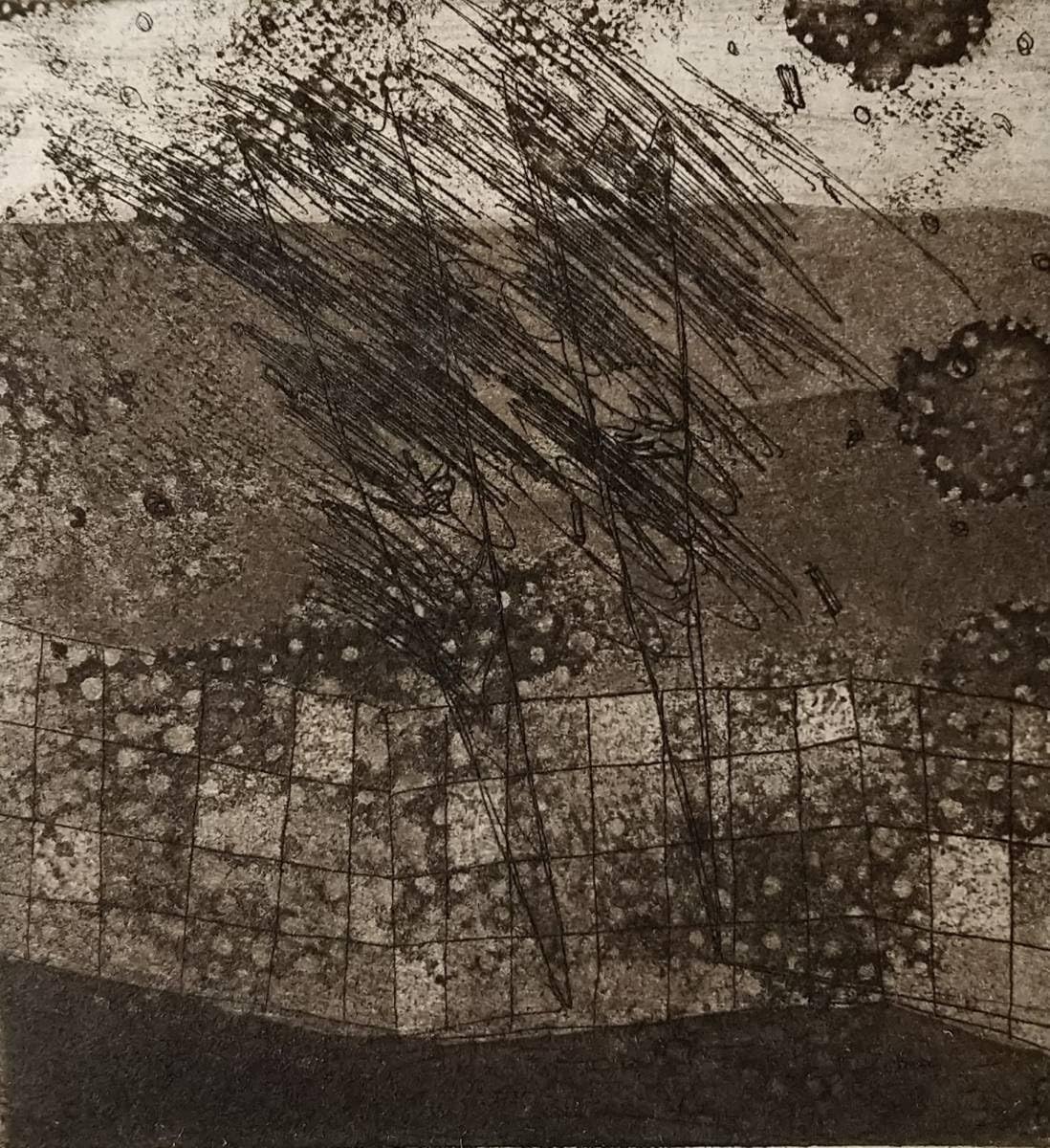 Amazon.co.jp: 清野泰行 銅版画 東京藝術大学 ATELIER C-126