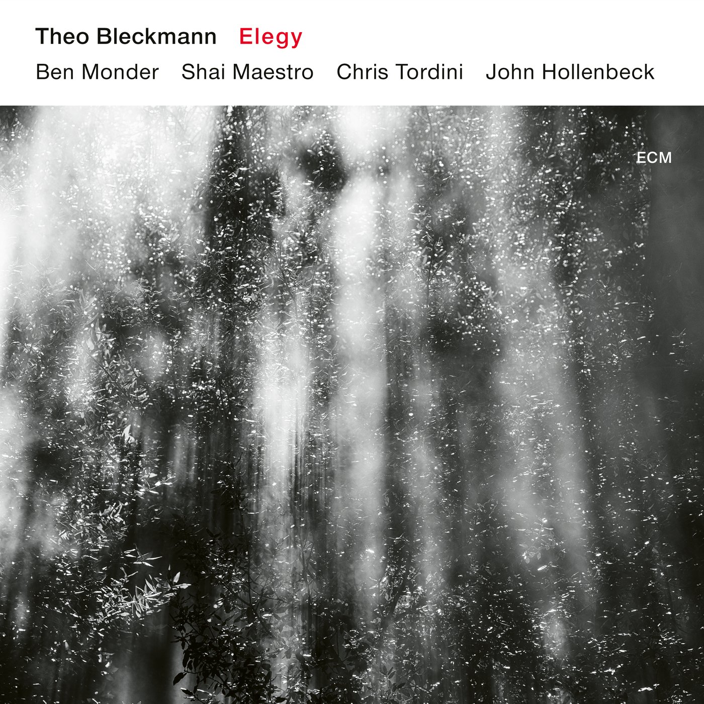 Theo Bleckmann Elegy CD 4799717 NEW