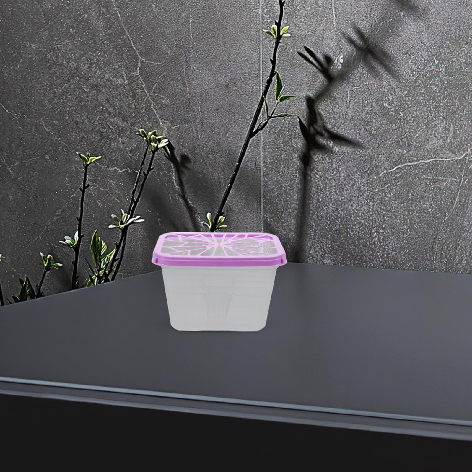 Cajas Deshumidificadoras Reutilizables de Plástico Transparente 6 Unidades Soporte Portátil para Absorbente de Humedad Recargable Estuche Hermético para Armarios y Baños