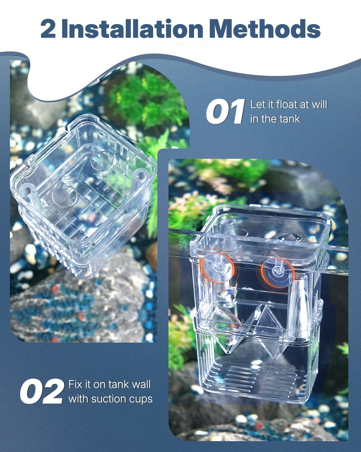 Pawfly acquario pesce allevamento box trasparente plastica Breeder Box per serbatoio di pesce avannotti incubatore incubazione Box per pesci aggressivi Guppy