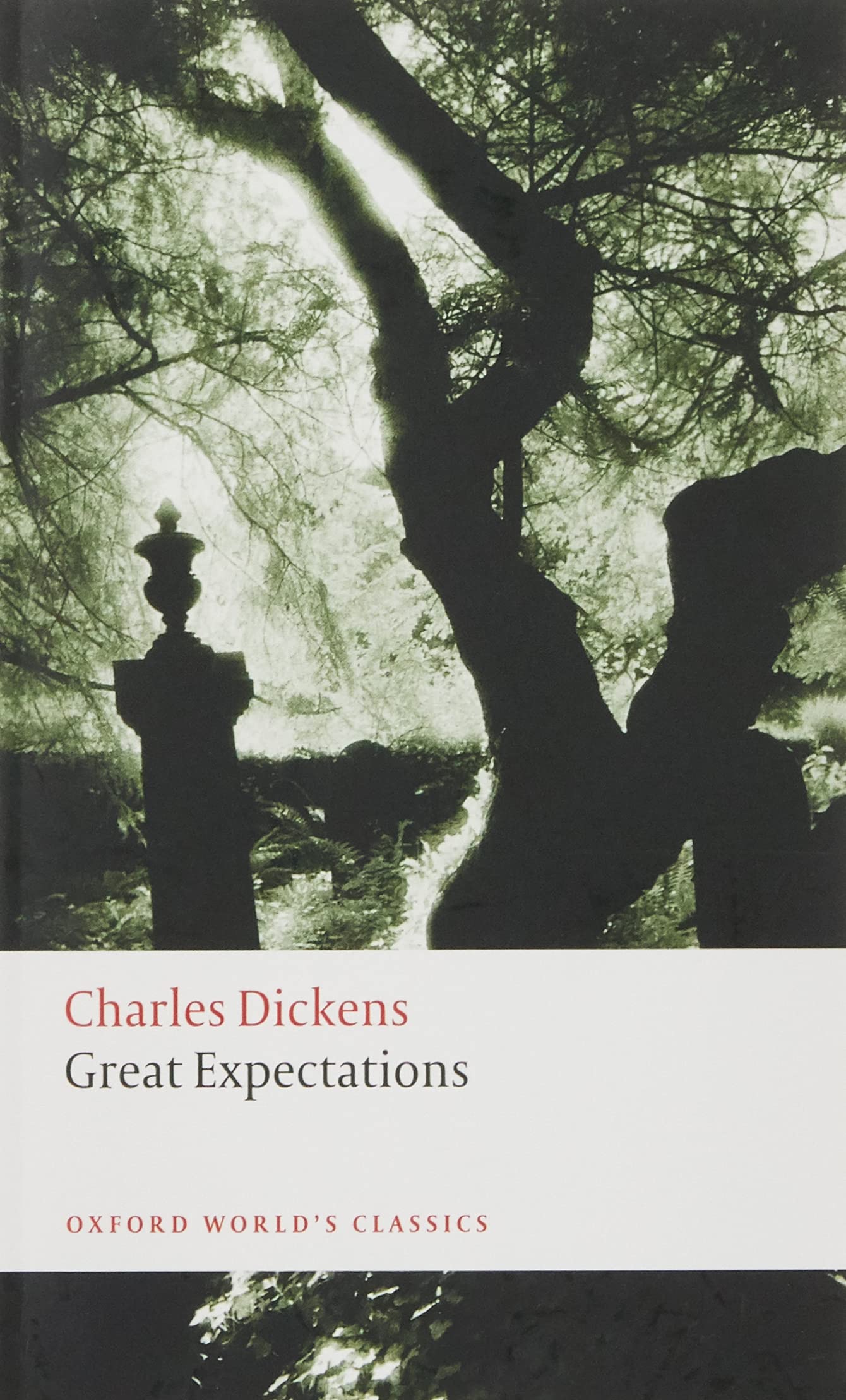 Great Expectations by Charles Dickens (Paperback Book)