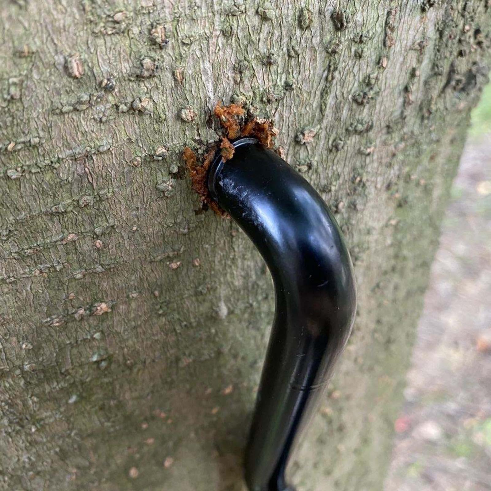 Gradini Per La Caccia, Passeggiate Di Arrampicata Alberi - Supporto Albero Da Caccia All'aperto Da 20,7 Cm/8,15 Pollici - Supporto A Vite Autofilettante Da 705 Lb, Supporto Per Albero Arrampicante