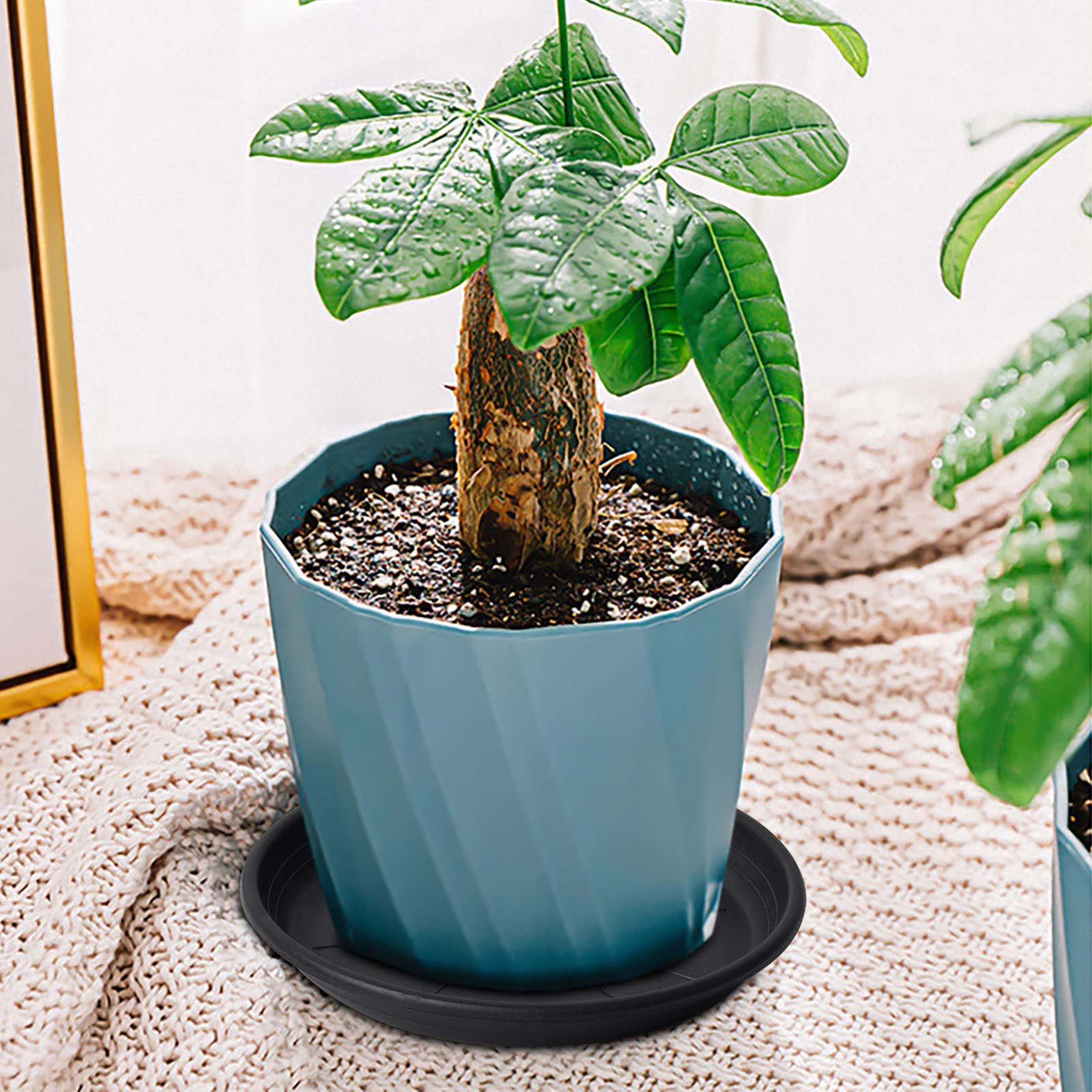 EASYKEENECOM Lot De 12 Soucoupes Rondes En Plastique Pour Pots De Fleurs Avec Étiquettes Colorées - 4 Tailles Pour Intérieur Et Extérieur