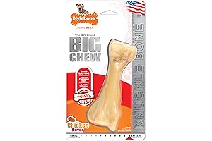 Nylabone Galileo Bone Dog Toy: A Durable and Flavorful Treat for Gigantic Canines