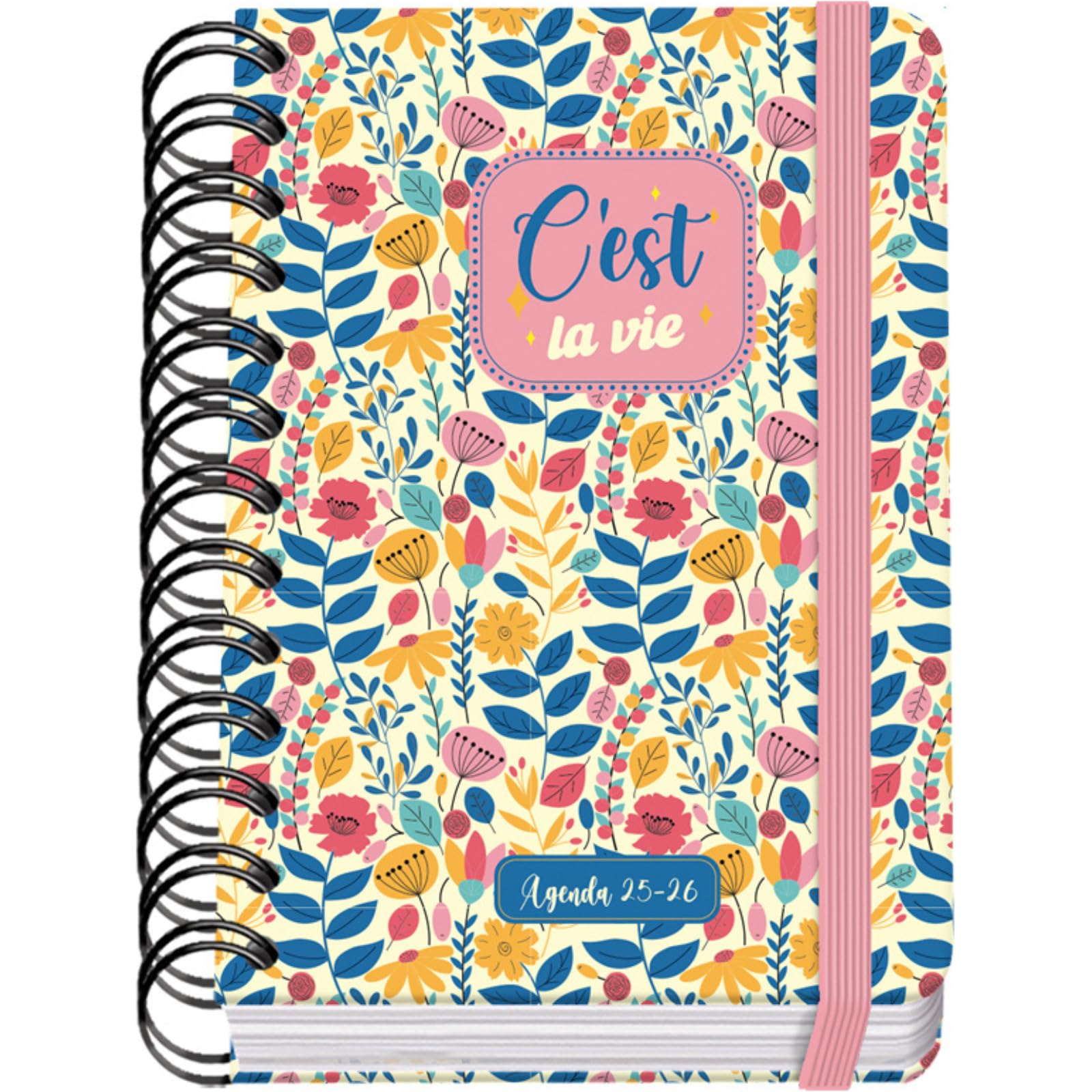 Dohe, School Planner 2025 2026, Day per Page, A6 Size (12x17 cm), Spanish and English, Double Spiral Binding and Elastic Band