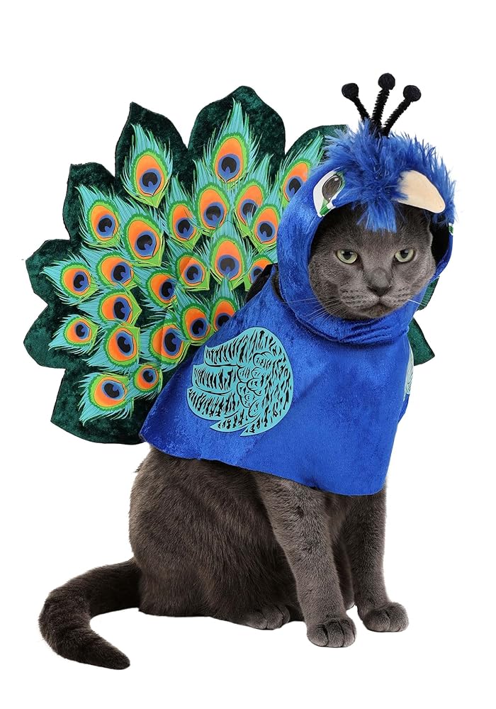 California Costumes Large Peacock Pet Costume thumbnail 3