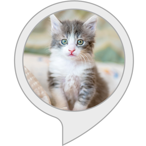 Ten Little Kittens Jumping on the Bed Alexa Skills