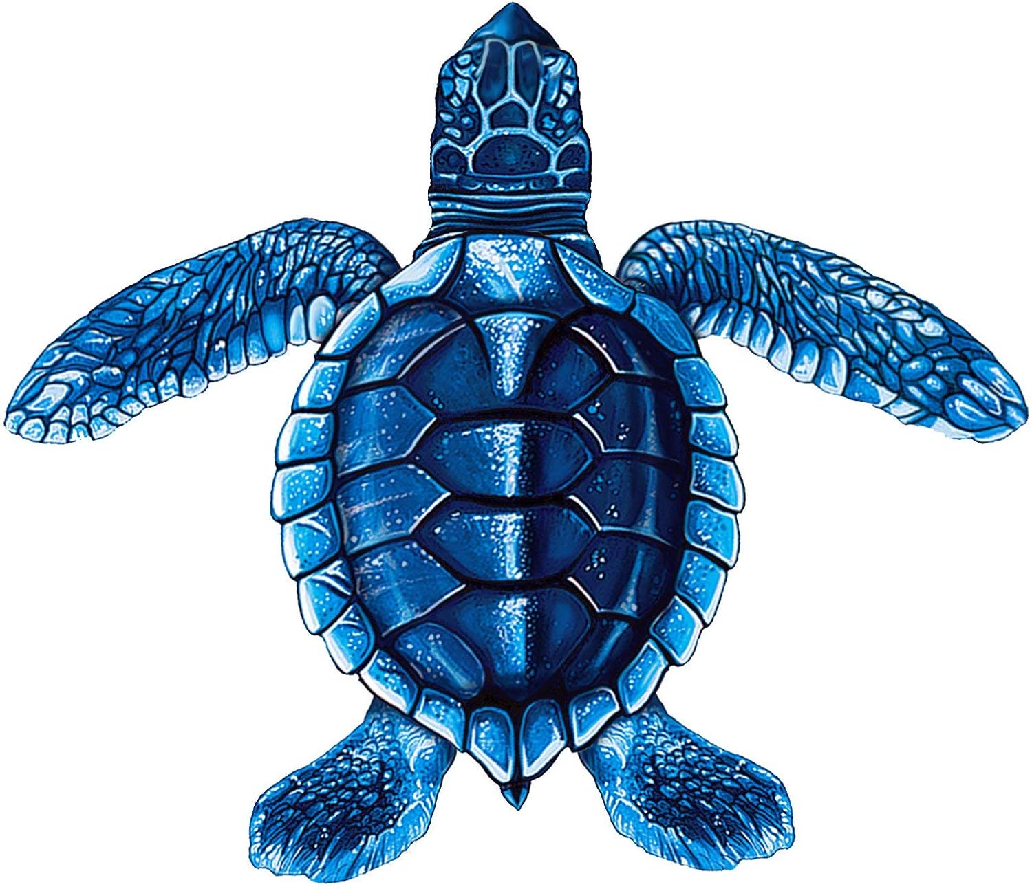 Baby Turtle Porcelain (Style C) Swimming Pool Mosaic (Style C - 5 x 5, Blue)