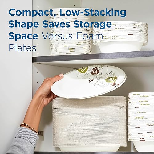 Miniatura 7 de Dixie UX9WS Pathways - Platos de papel de protección a prueba de remojo, 8 12, GrnBurg, 125Pk, 4 PksCt