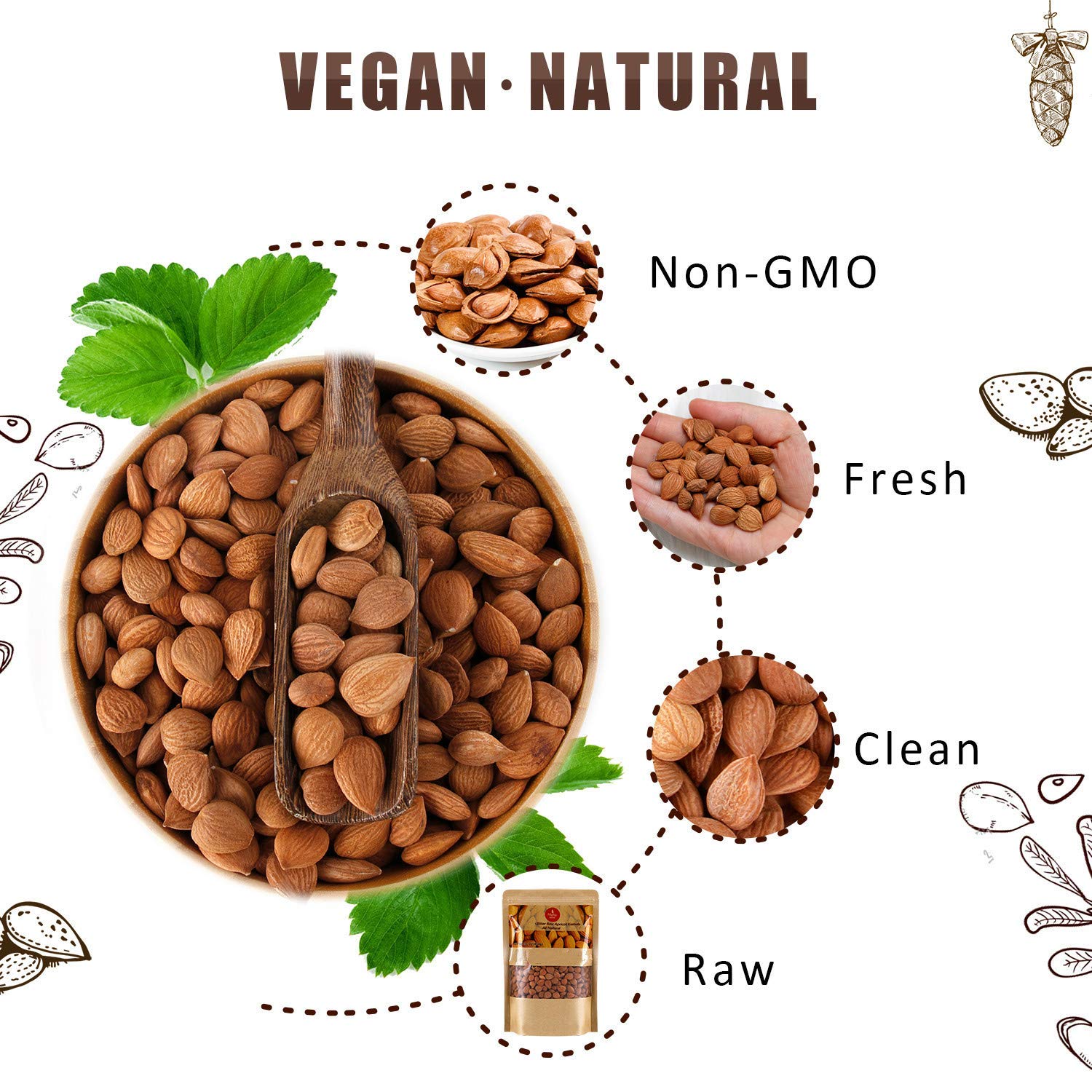 Mighty Apricot USDA Organic Bitter Apricot Kernels(1LB) 16oz, Natural