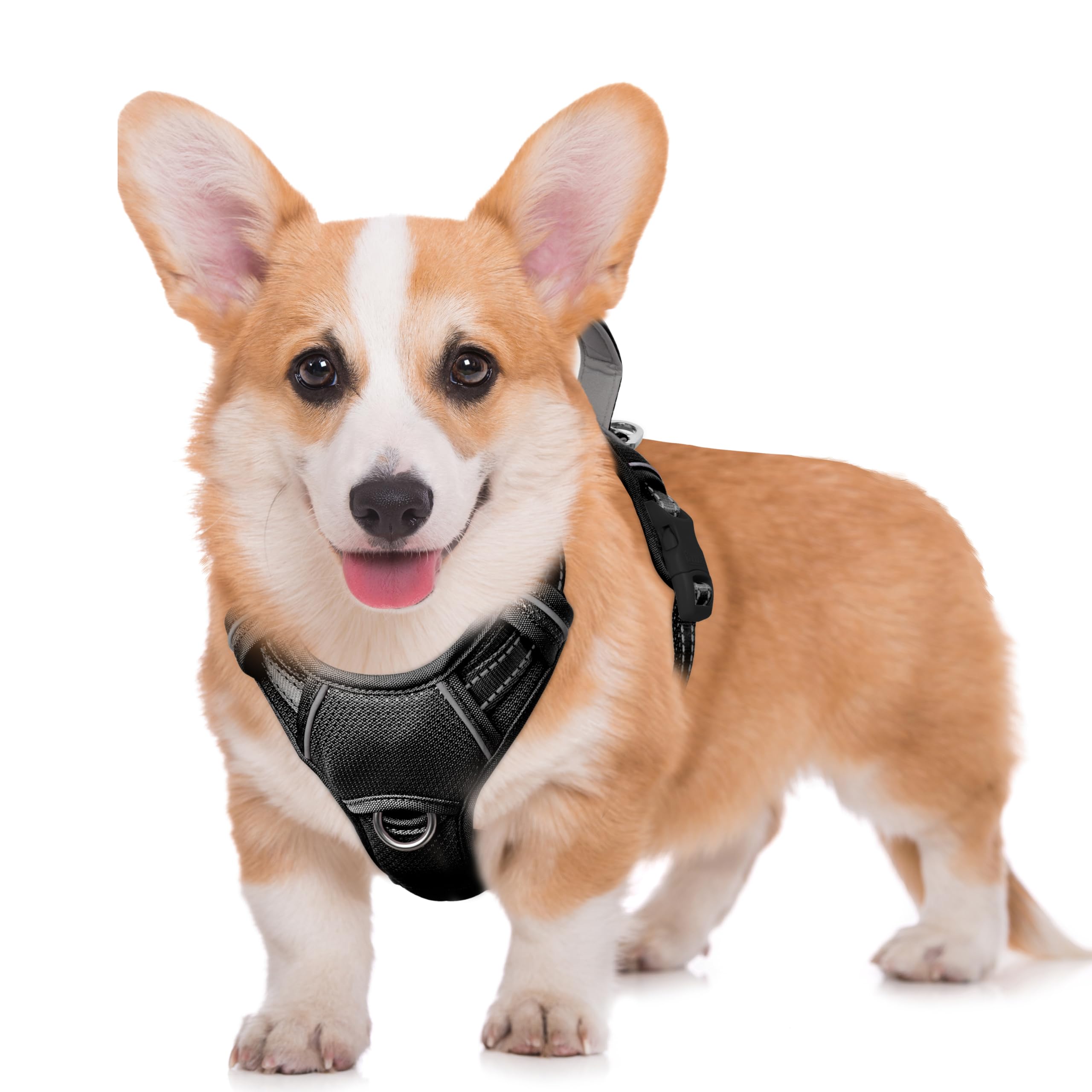 BARKBAY No Pull Dog Harness Large Reflective Dog Harness with Front Clip and Easy Control Handle for Walking Training Running with ID tag Pocket(Black,M)
