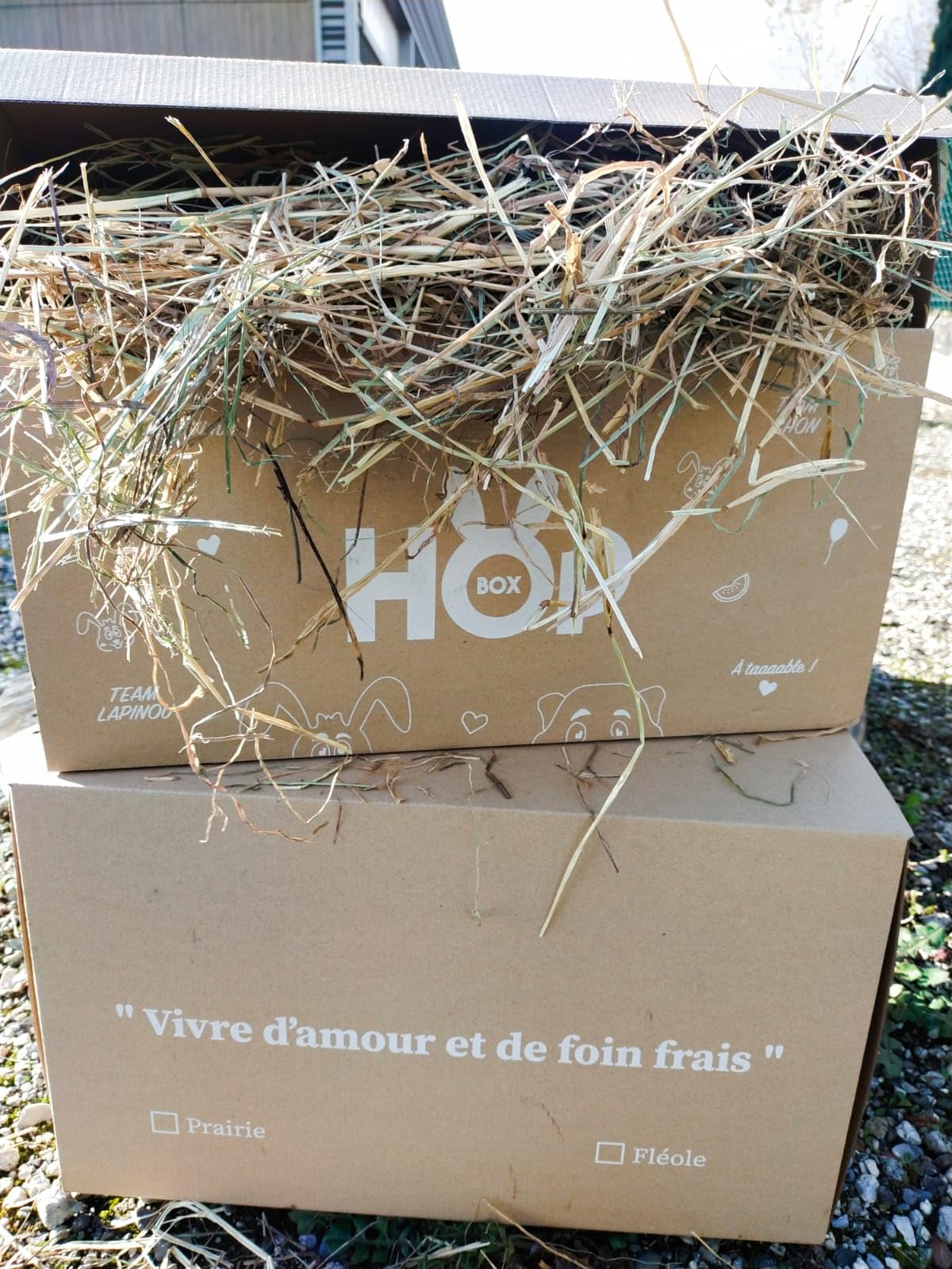 Foin de Prairie Premium pour Lapin & Cochon d’Inde 100% Naturel Longs Brins 5 Kg
