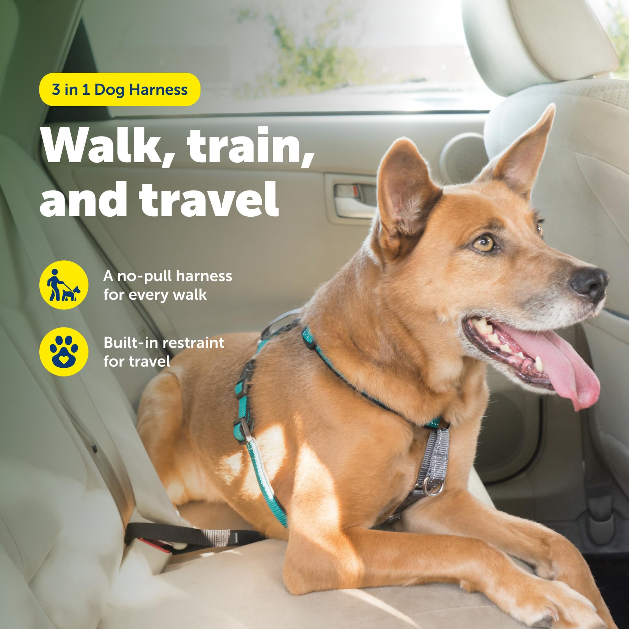 PetSafe Harnais 3 en 1 et retenue de Voiture - Taille M - Bleu Sarcelle - Pas de Traction - Réglable - Entraînement pour Chiens de Petite, Moyenne et Grande Taille