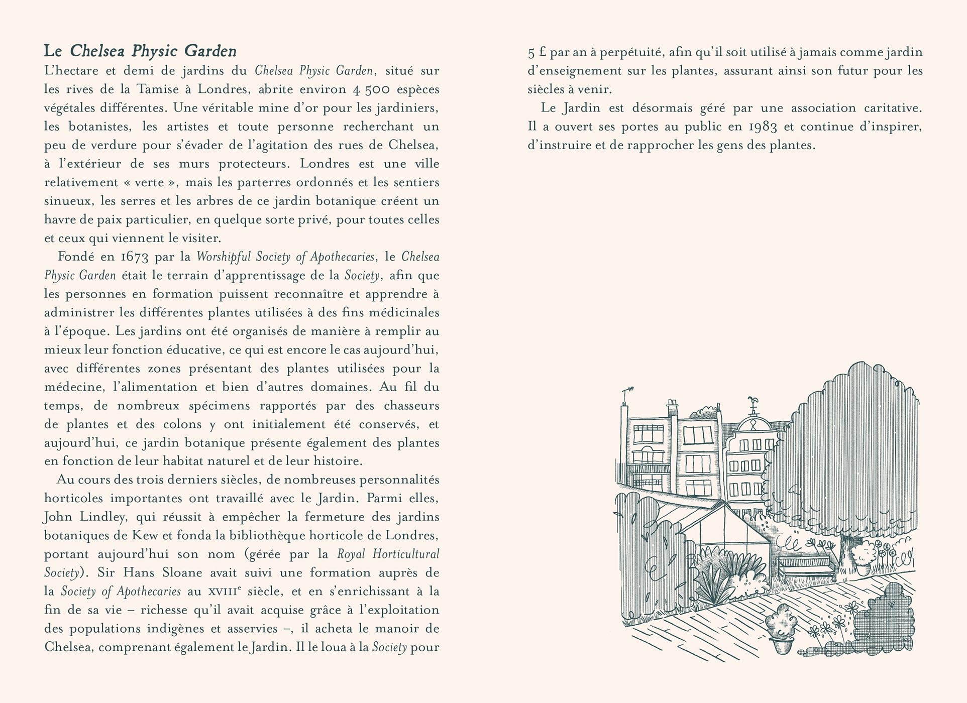 Plantes guérisseuses: 50 cartes botaniques illustrées par la pionnière de l'herboristerie Elizabeth Blackwell