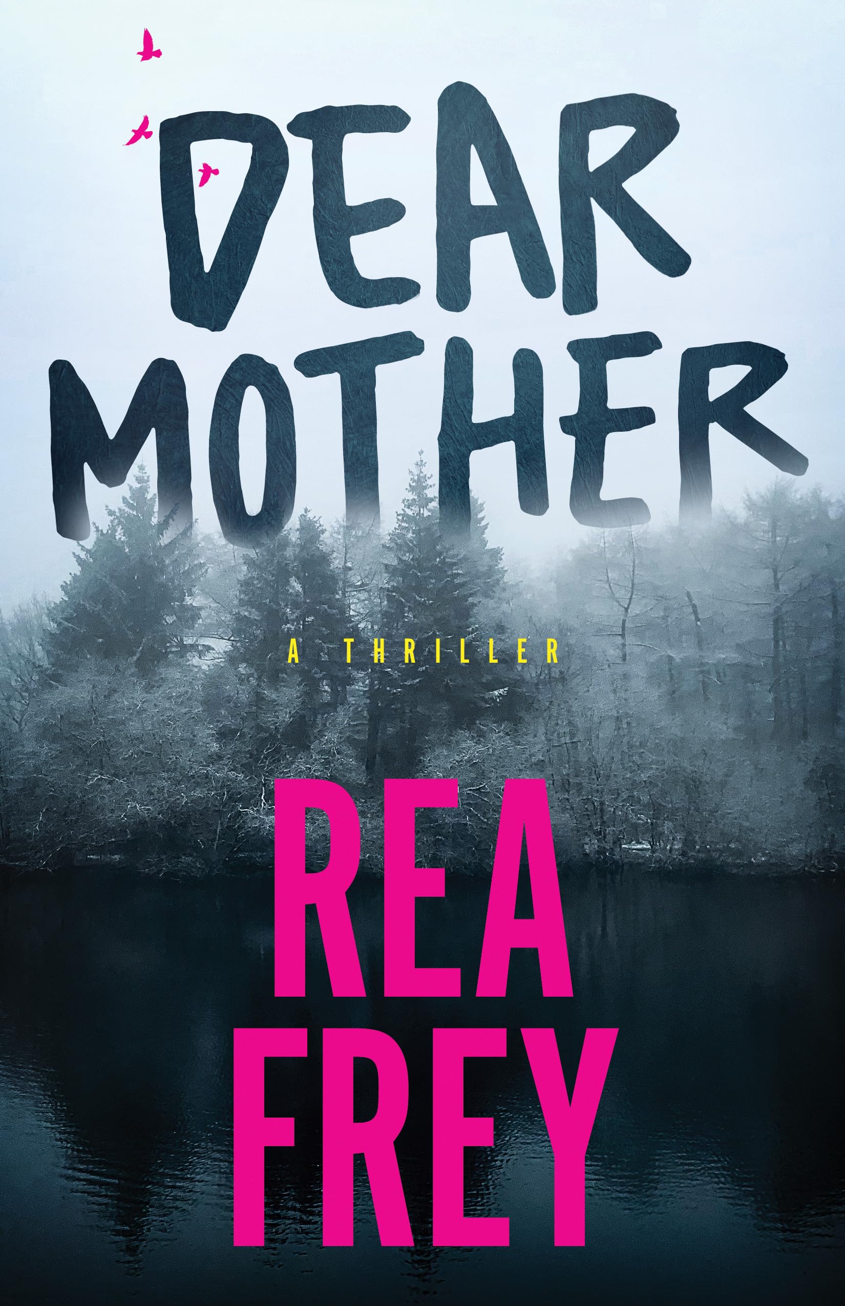 Dear Mother by Rea Frey - 9781662532283
