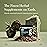 Gaia Herbs Ashwagandha Root - Stress Relief & Sleep Support Supplement - Supports Balanced Energy Levels & Positive Outlook* - 180 Vegan Liquid Phyto Capsules (90-Day Supply)