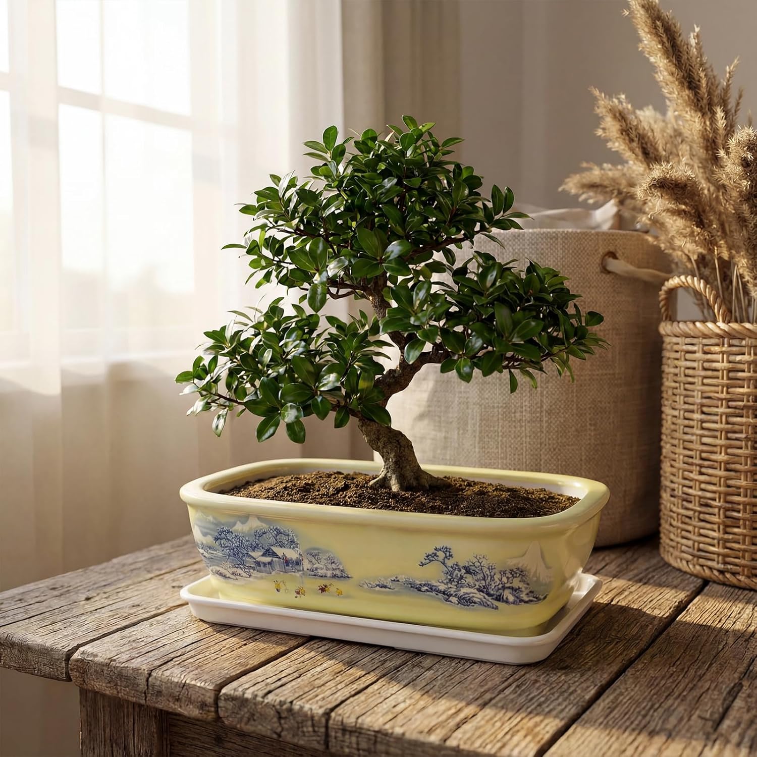 Bonsai Pots & Ceramic Planters with Drainage Tray, 8 Inch Shallow Rectangular Planter in Blue and White for Indoor-Outdoor Succulents & Bonsai Tree, Home & Office Tabletop Decor Gift