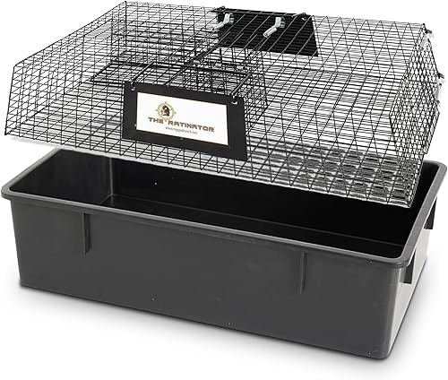Rugged Ranch RATTR Ratinator sin veneno, fácil de captura y liberación múltiple para interiores y exteriores, jaula de trampa viva humana para
