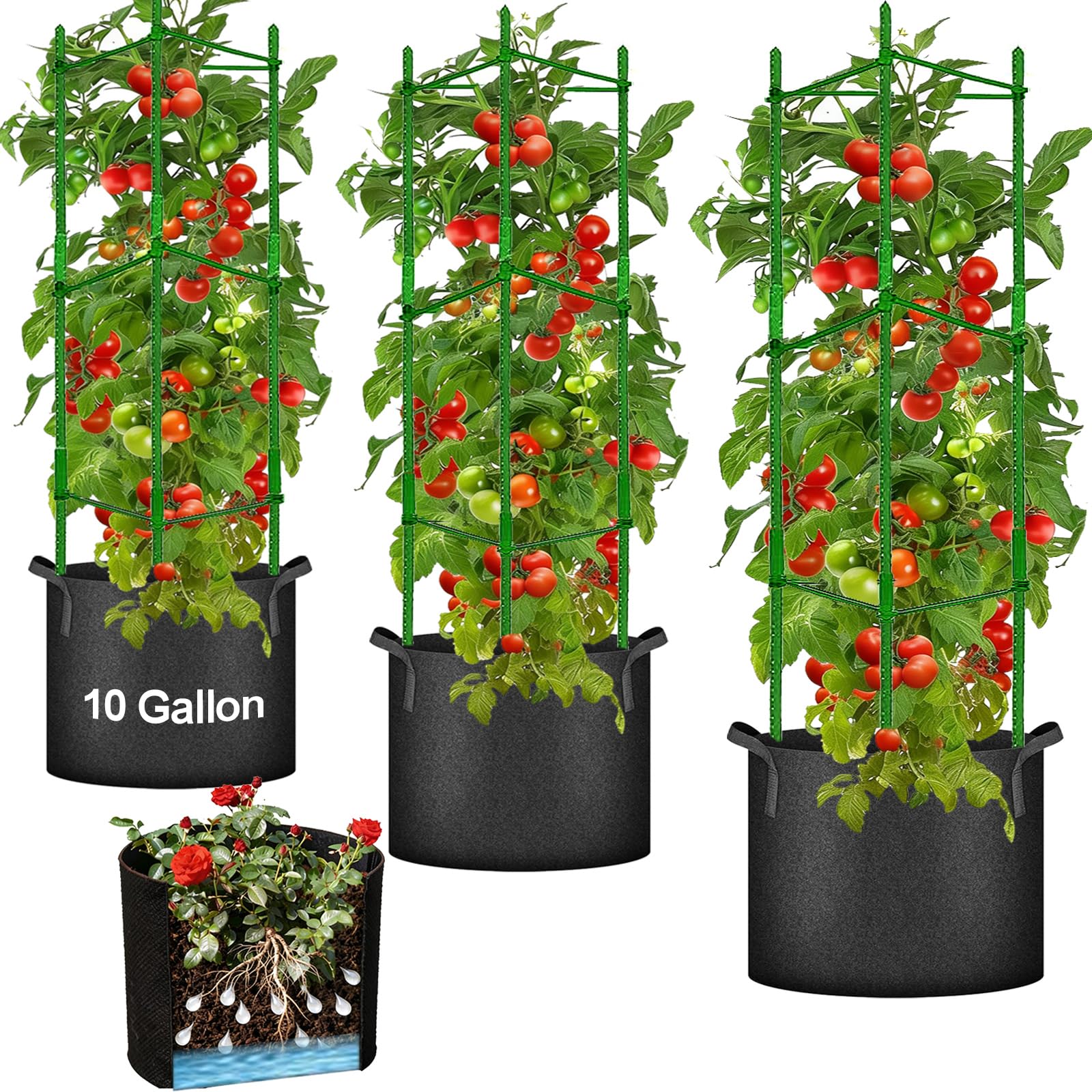 Tomato Cages with 10 Gallon Grow Bags