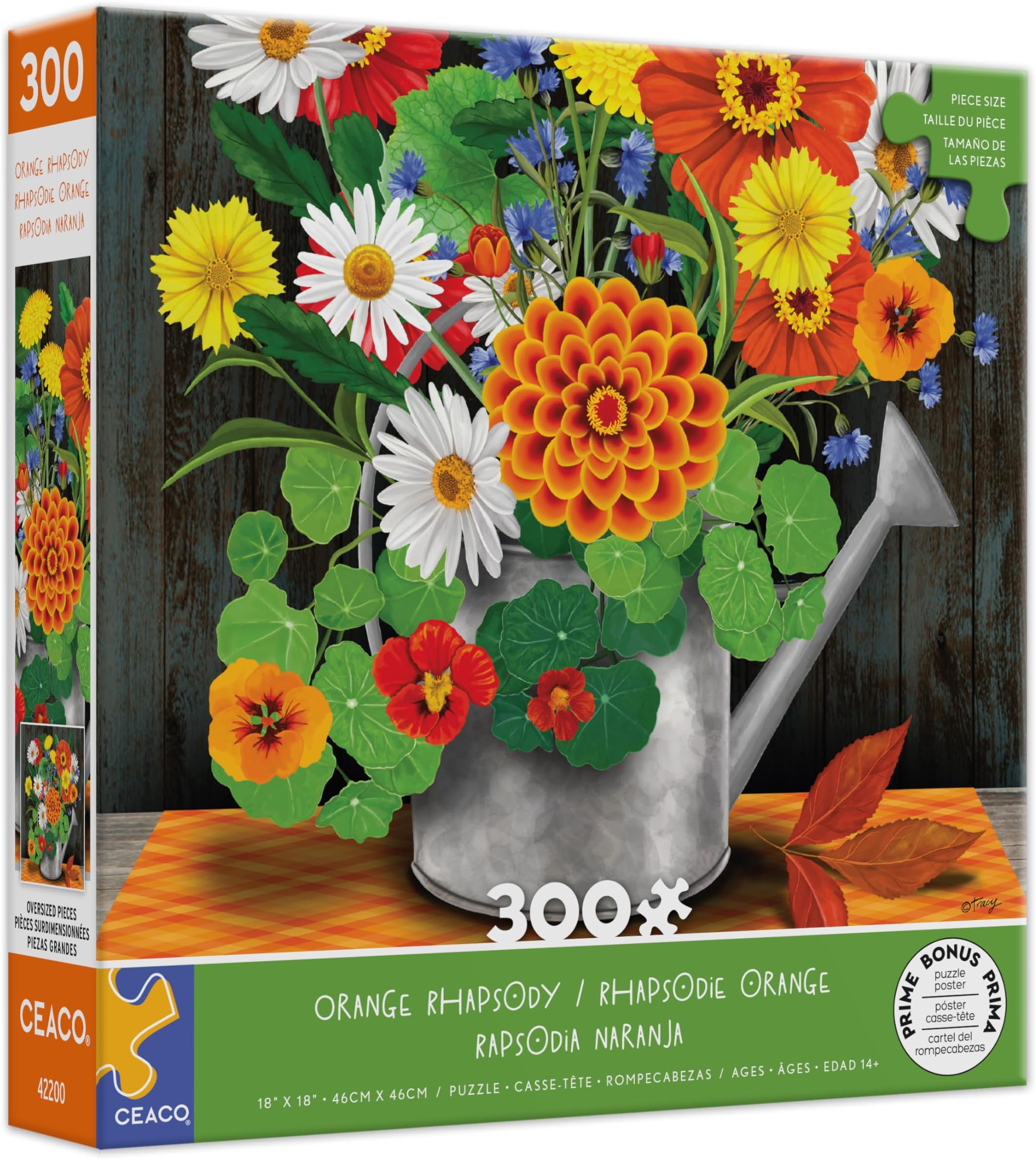 Orange Rhapsody - 300 Piece Jigsaw Puzzle