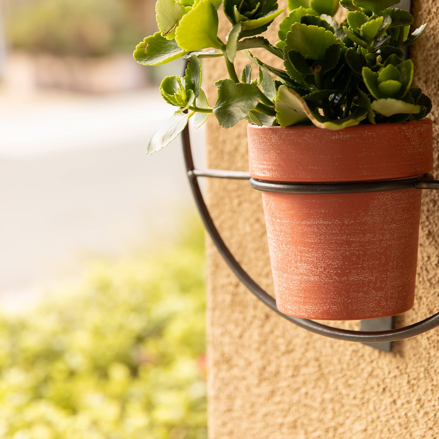 Danya B. Tivoli 2-Piece Metal Hanging Planter Set, Iron and Metal, Indoor or Outdoor Garden Décor for Real or Artificial Plants, Easy to Hang and Durable Material