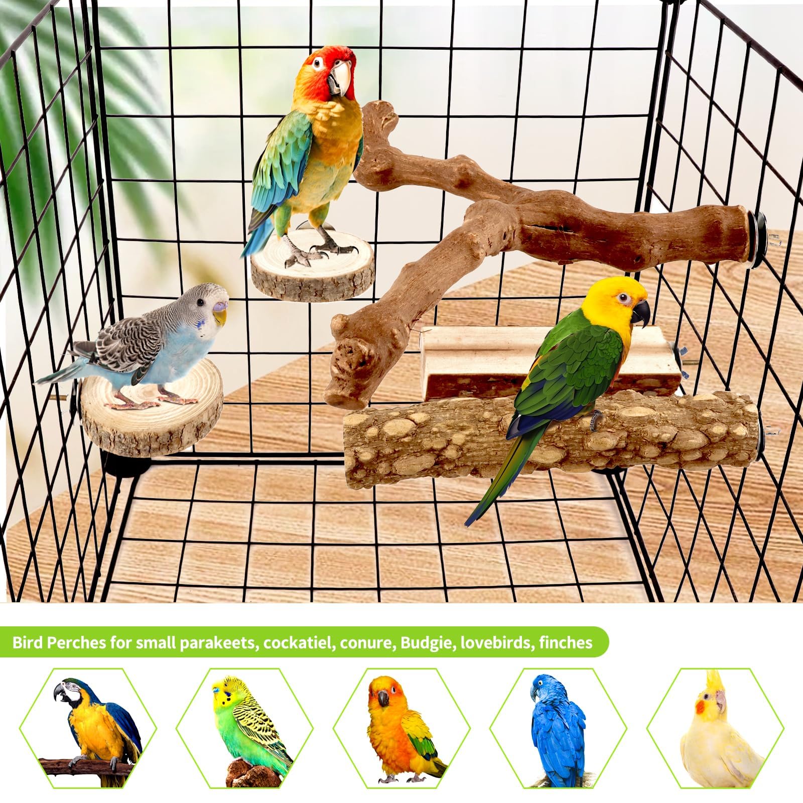 Vogel-Sitzstangen aus natürlichem Traubenholz, 8-teiliges Set – Papageienkäfig-Ständer mit Pfotenschleifgabeln, Kaustangen und Übungszweigen für Sittiche, Nymphensittiche, Sittiche, Wellensittiche