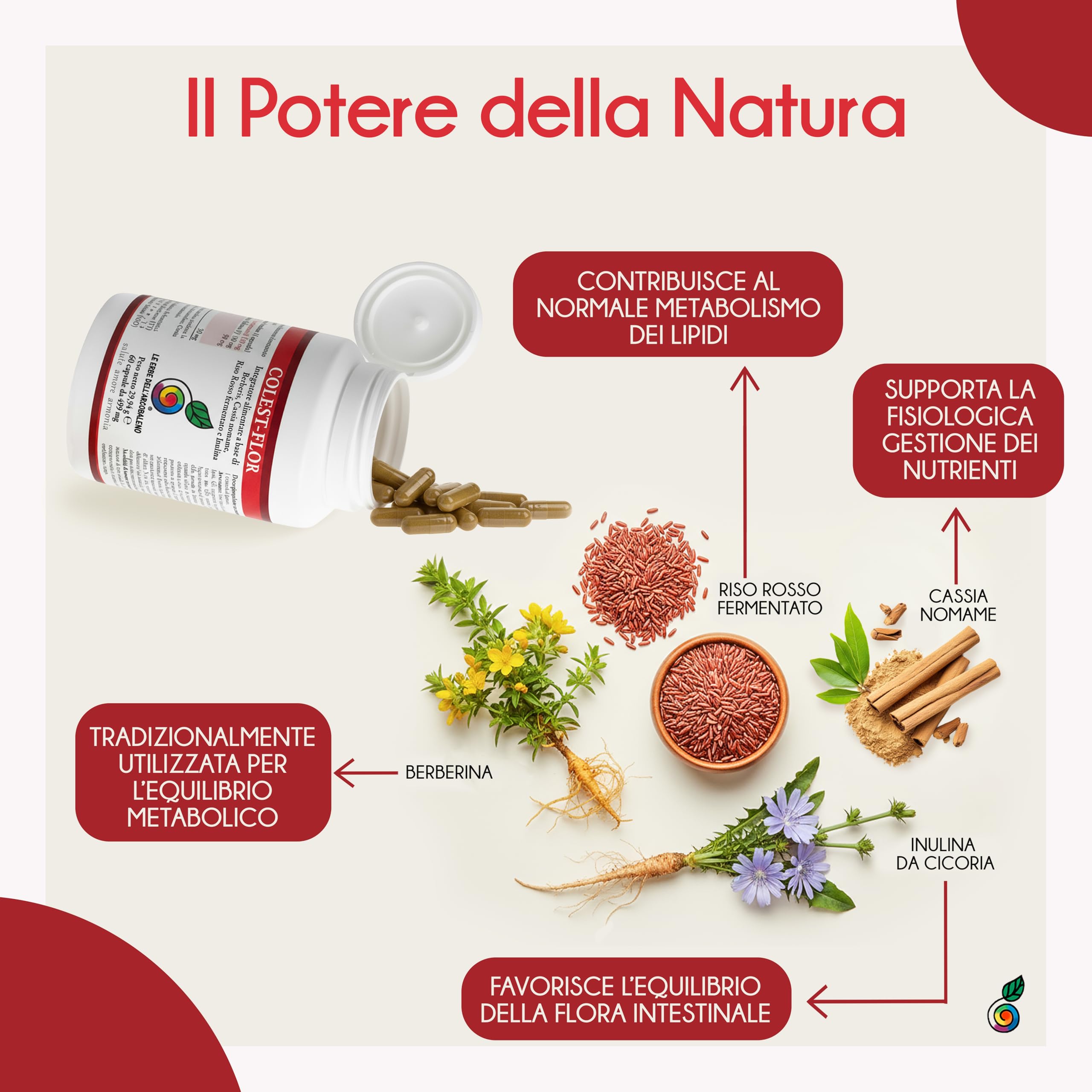 COLEST FLOR | Integratore con Riso Rosso Fermentato Colesterolo (Monacolina K 3%) + Berberina + Cassia Noname + Inulina | Supporto al Normale Metabolismo dei Lipidi | 60 Capsule | Made in Italy