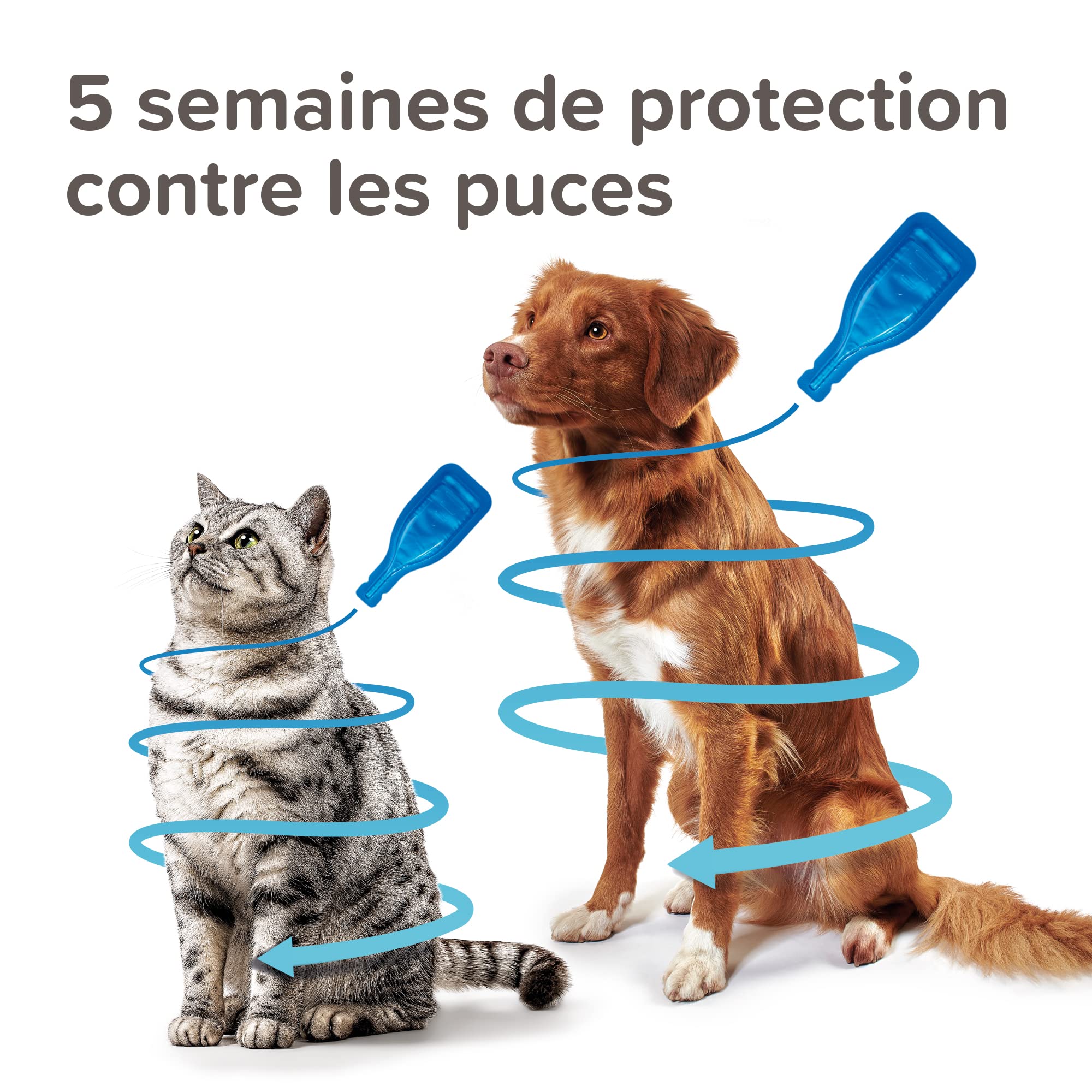 BEAPHAR – FIPROTEC Solution Spot-on pour Chiens Moyens (10-20 kg) 134 MG – À Base de Fipronil – Contre Les Puces – Protège Contre Les Infestations par Les Tiques – 4 Pipettes de 1,34 ML