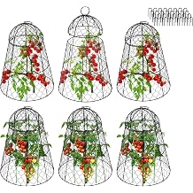 Garden Cloches for Plants - Set of 6 Chicken Wire Plant Cages and Plant Protectors from Animals, 17.7" H x 12.8" D, Outdoor Vegetable and Flower Cages, Sapbontchi Chicken Wire Cloche