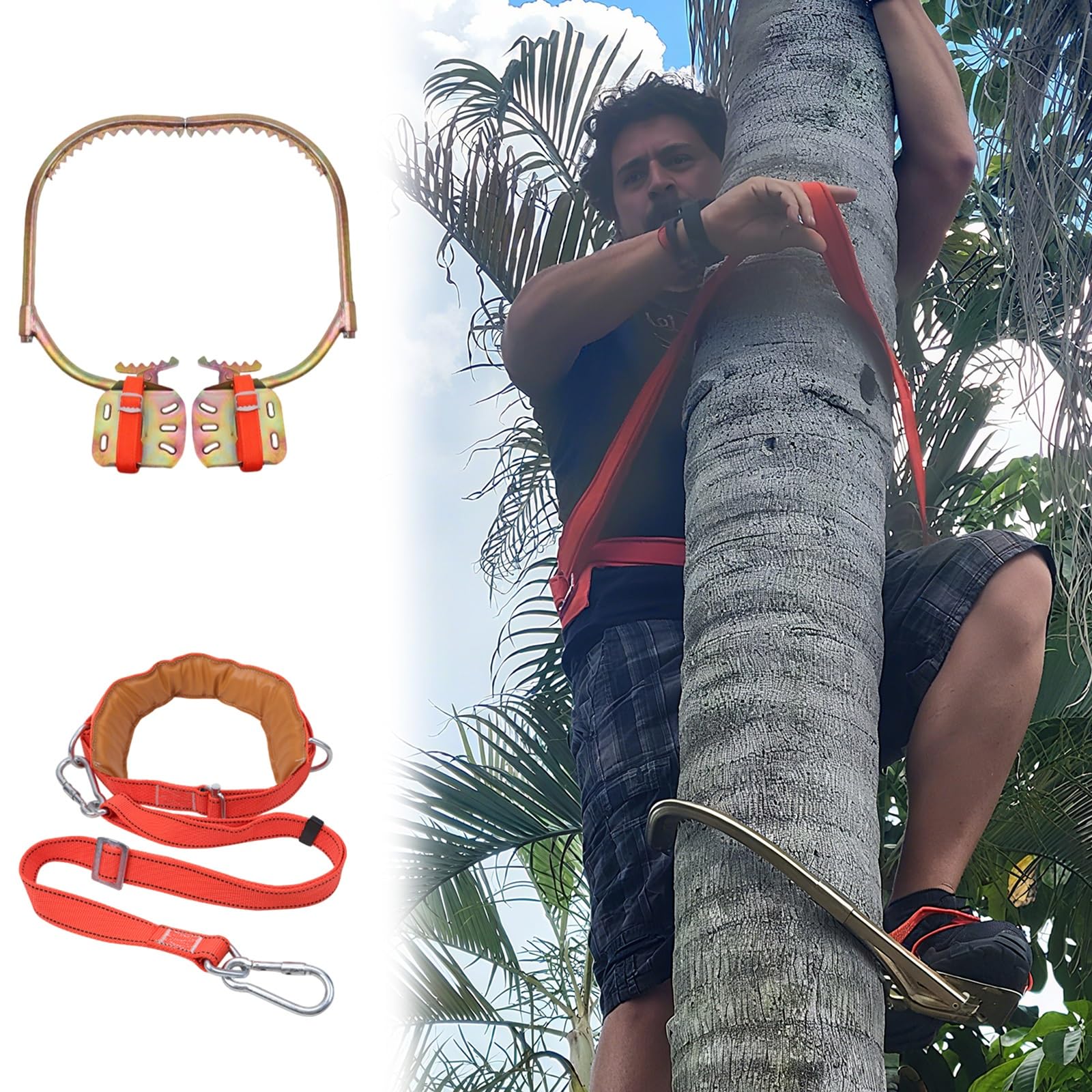 AMUFJJ Fruit Pickers Tree Climbing Gear and Equipment, Adjustable Steel Climbers Tree Spikes Shoes Kit, Electrician Foot Buckle Support(Type 500mm (19.7in))