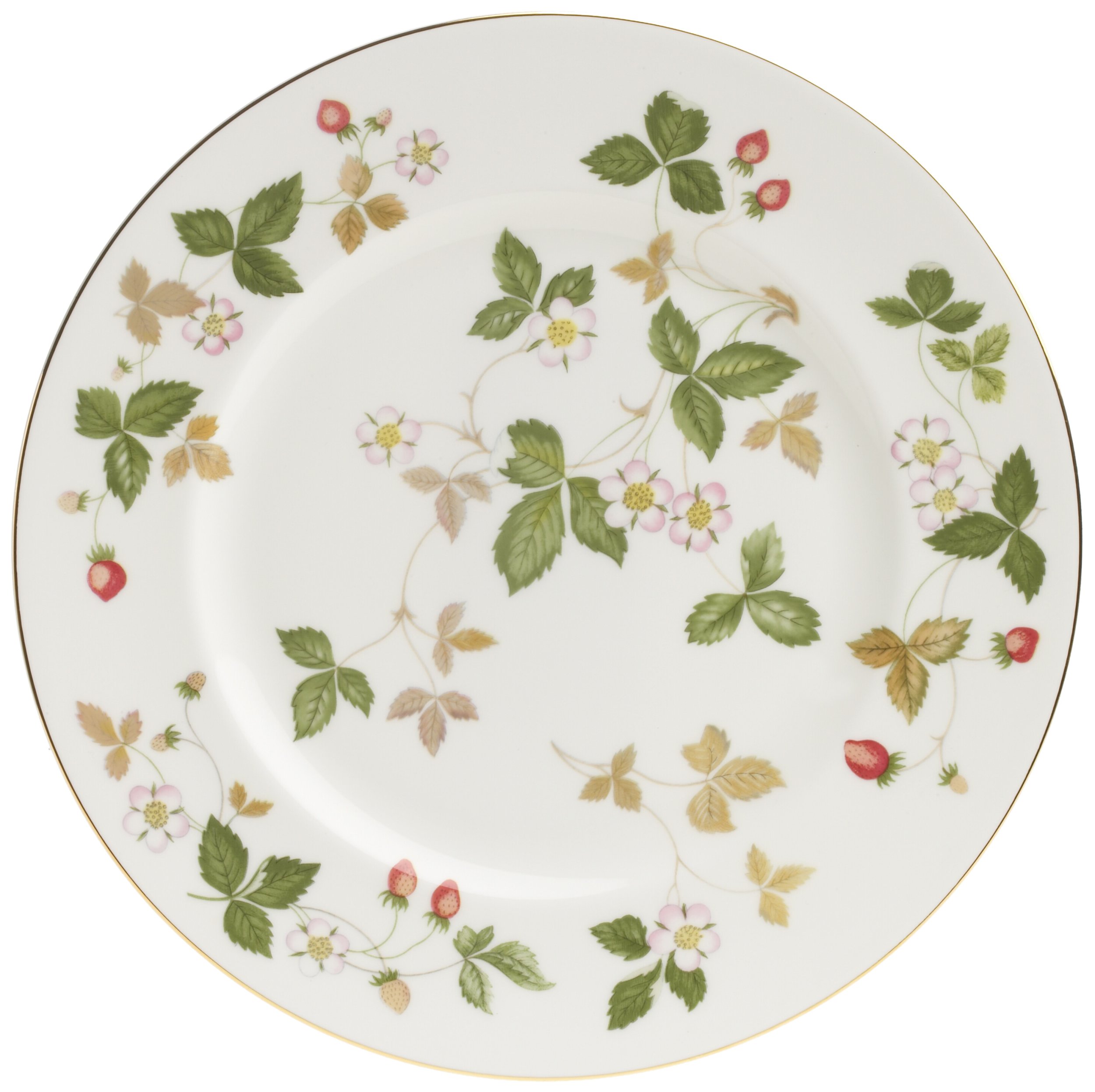 Amazon.com: Wedgwood Wild Strawberry Dinnerware 5-Piece Place