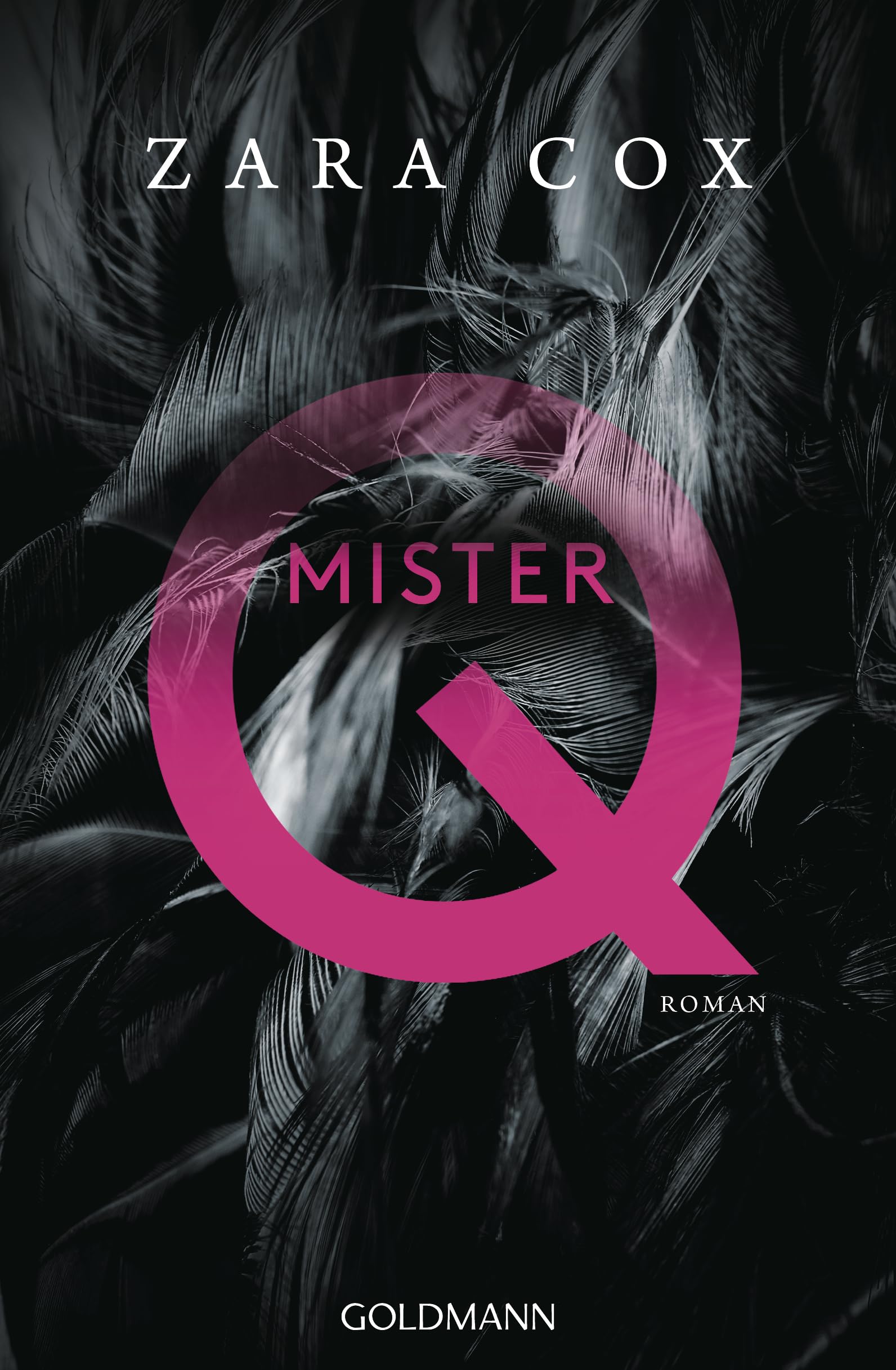 Mister Q: Roman