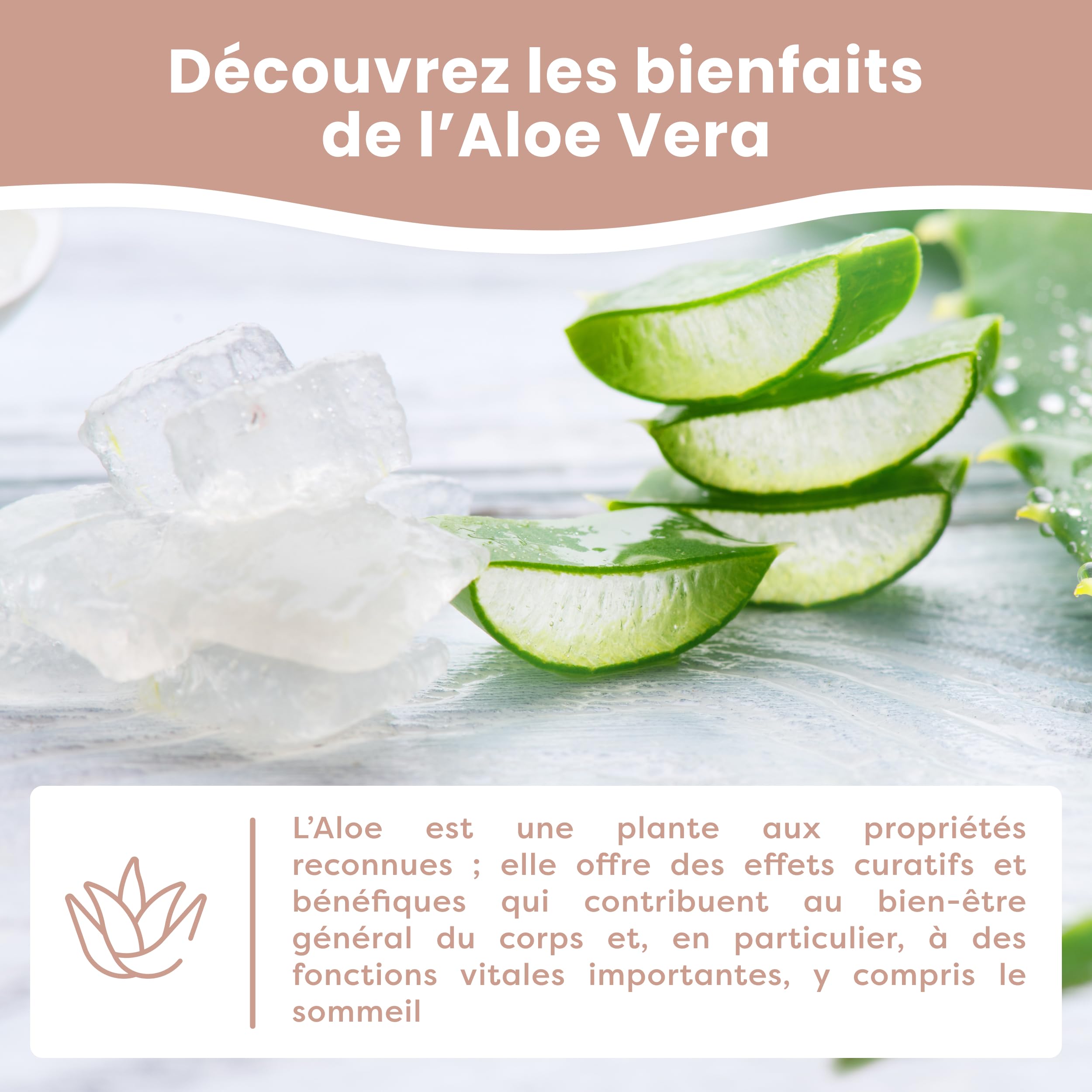 MIMUSELINA Oreiller Memoire Forme 50x30x5,5 cm pour Bébé et Enfants | Oreiller Ergonomique et Anti-Étouffement | Petit Coussin Respirant et Hypoallergénique | Housse Aloe Vera Amovible et Lavable