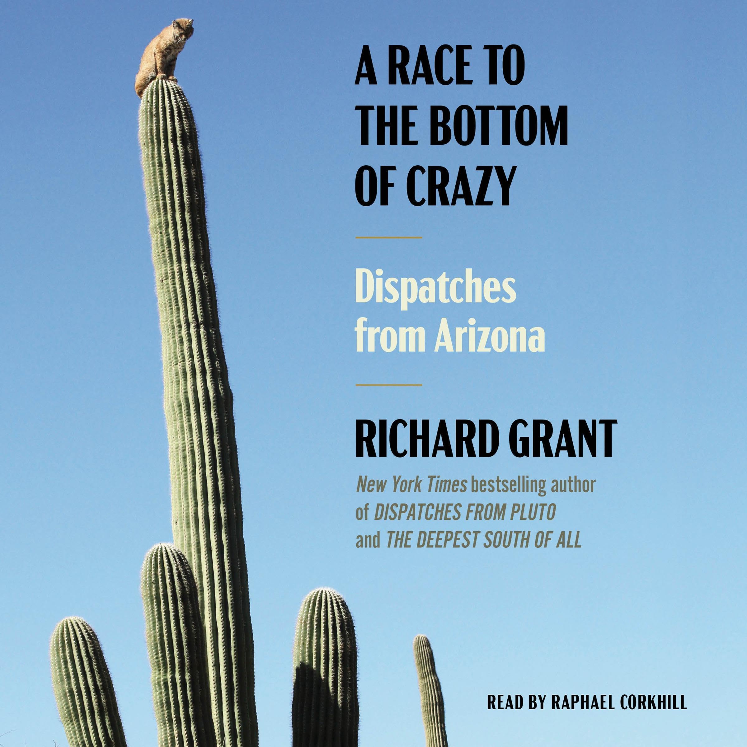 Cover art for A Race to the Bottom of Crazy