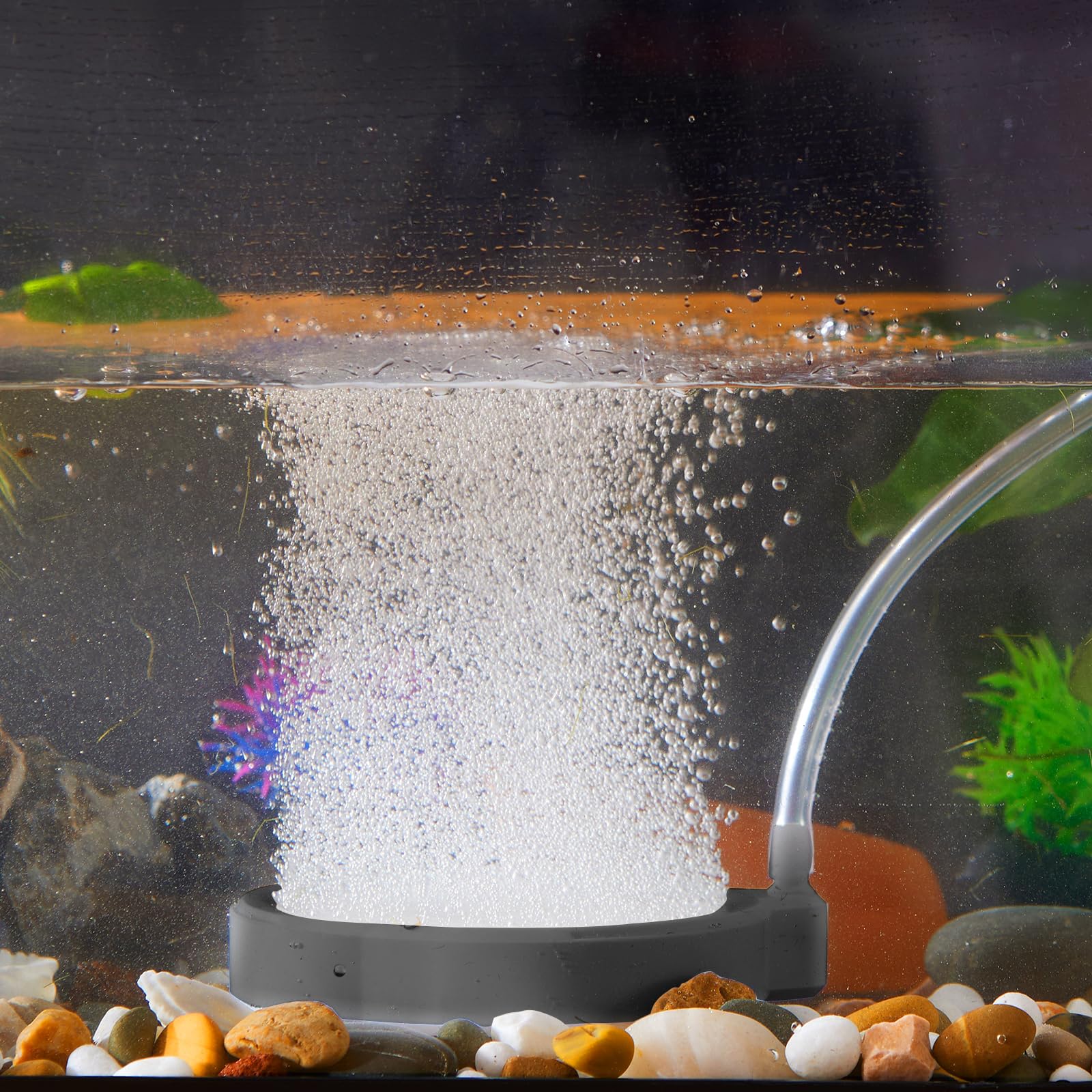 2 Inch Nano Air Stone with Case - Silent High Oxygen Bubbler for Aquariums, Fish Tanks & Hydroponic Systems, Black Small Bubble Diffuser Accessories (No Air Pump and Air Tube)