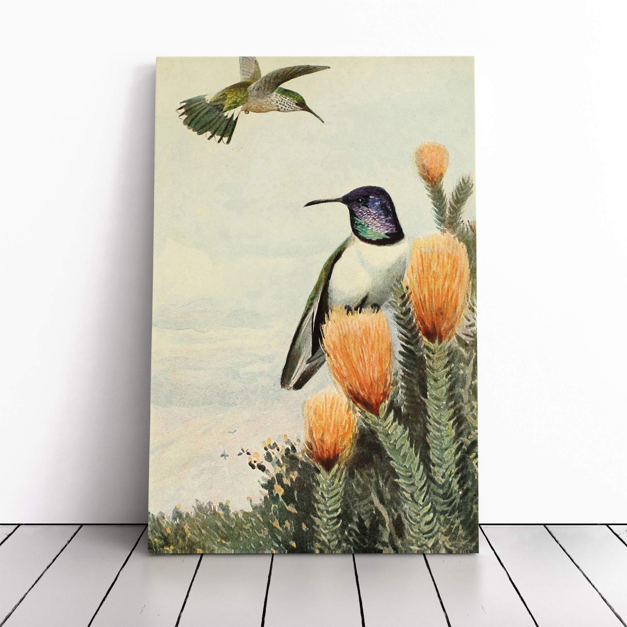 Vintage Brehms Tierlben Ecuadorian Hillstar Painting Canvas Wall Art Picture Print - Framed Painting - Modern Home Décor Poster - Ready to Hang Artwork for Living Room Bedroom Kitchen - 20x14 Inch