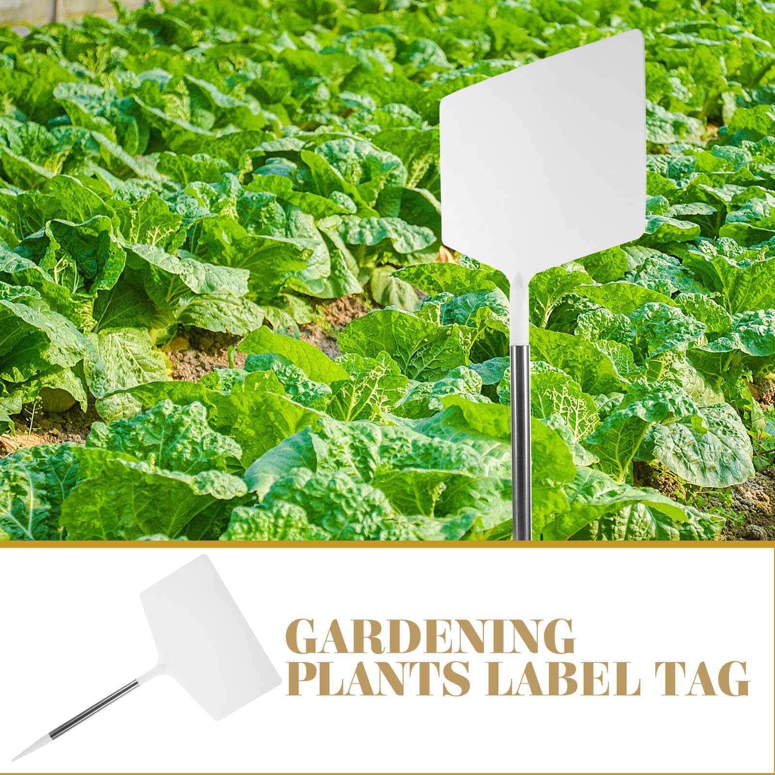 MILISTEN Wetterfeste Gartenpflanzenschilder Langlebige Pflanzenmarkierer für Gemüse Blumen und Sukkulenten Installieren für Außenbereich und Gewächshauspflege