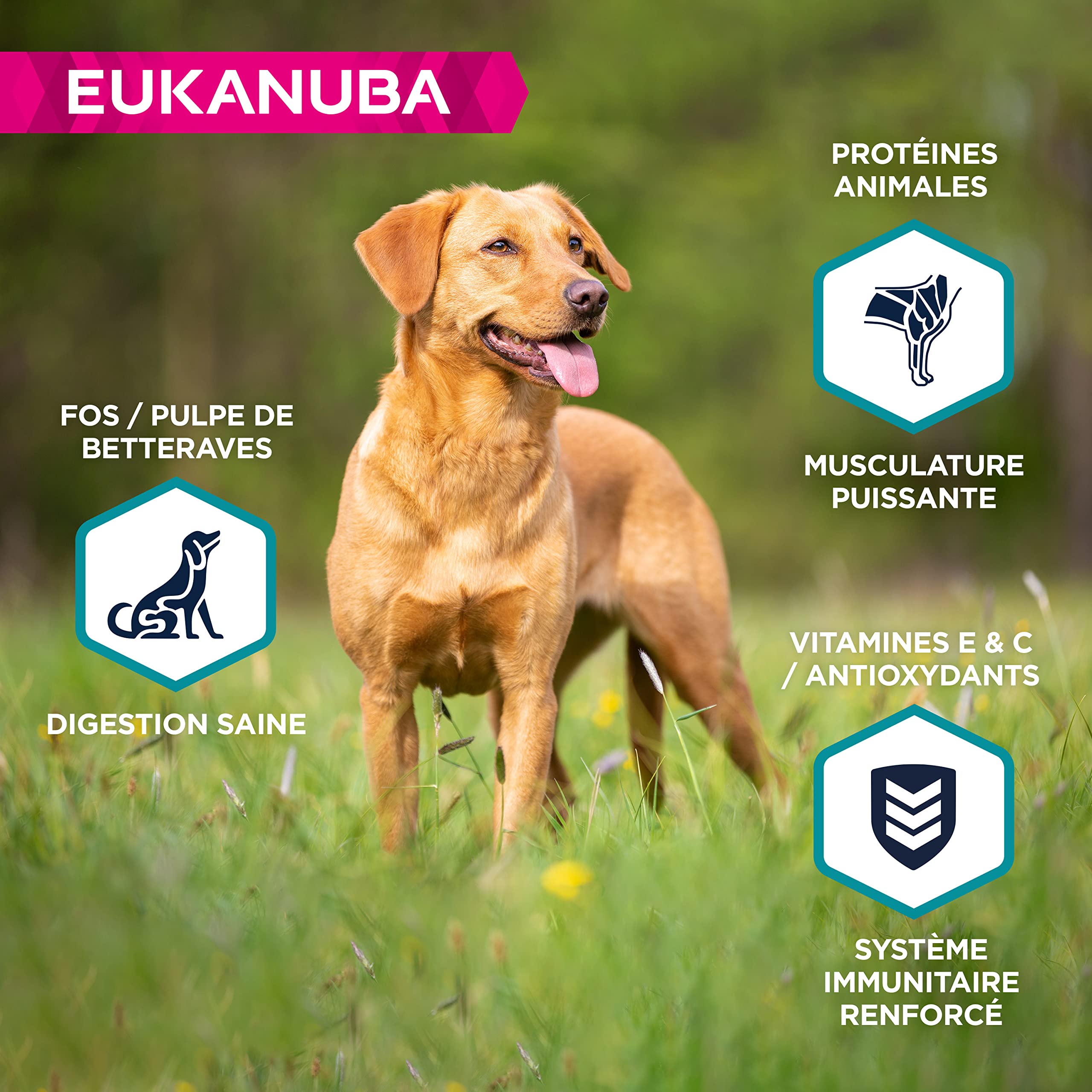 EUKANUBA Chien Sans Céréales Adulte Petites et Moyennes Races Riche en Poissons 12kg