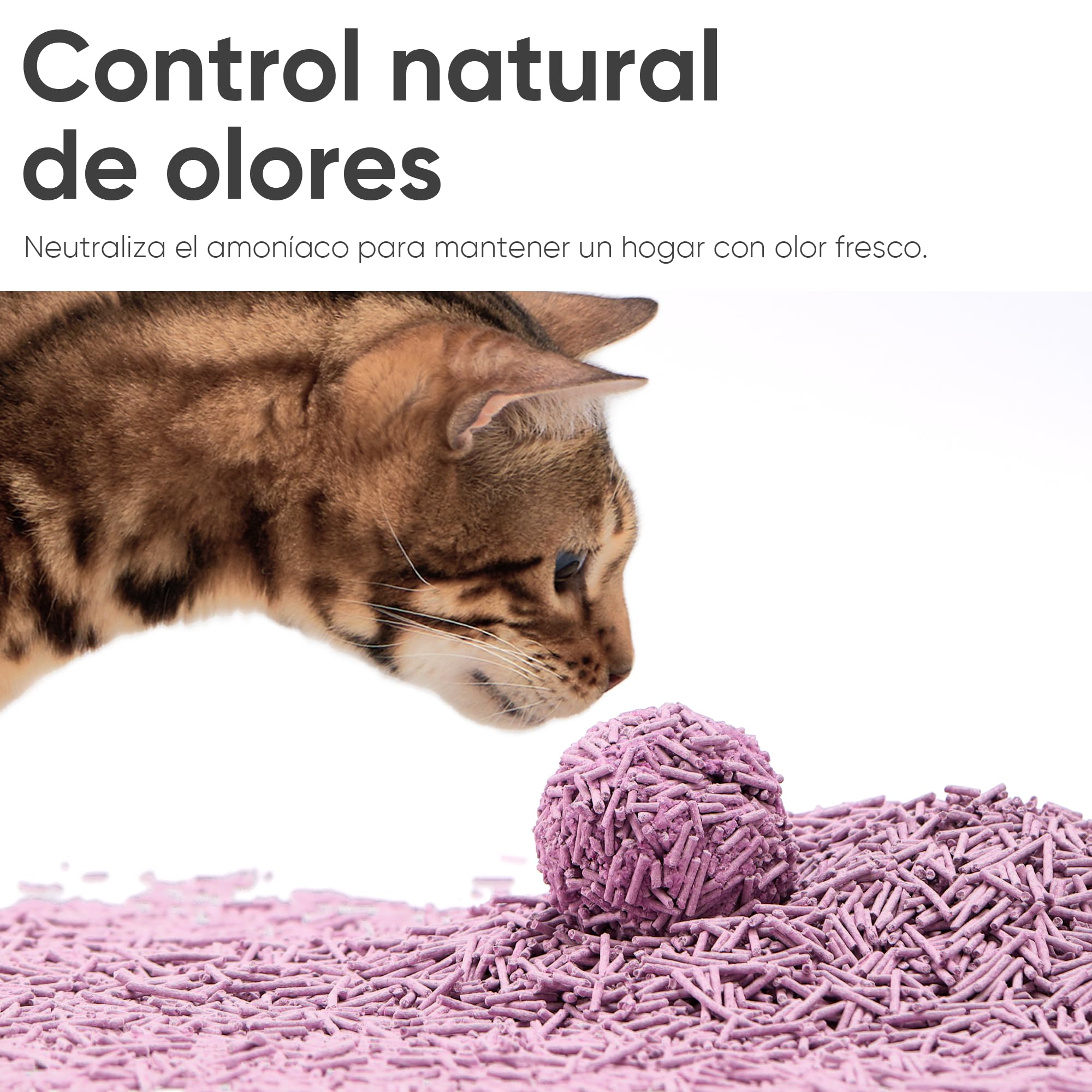 FUKUMARU Arena de Tofu para Gatos 5.4kg - Arena aglomerante para Gatos, Control de olores con Aroma de Lavanda, Libre de Polvo y fácil de aglomerar, desechable en el Inodoro