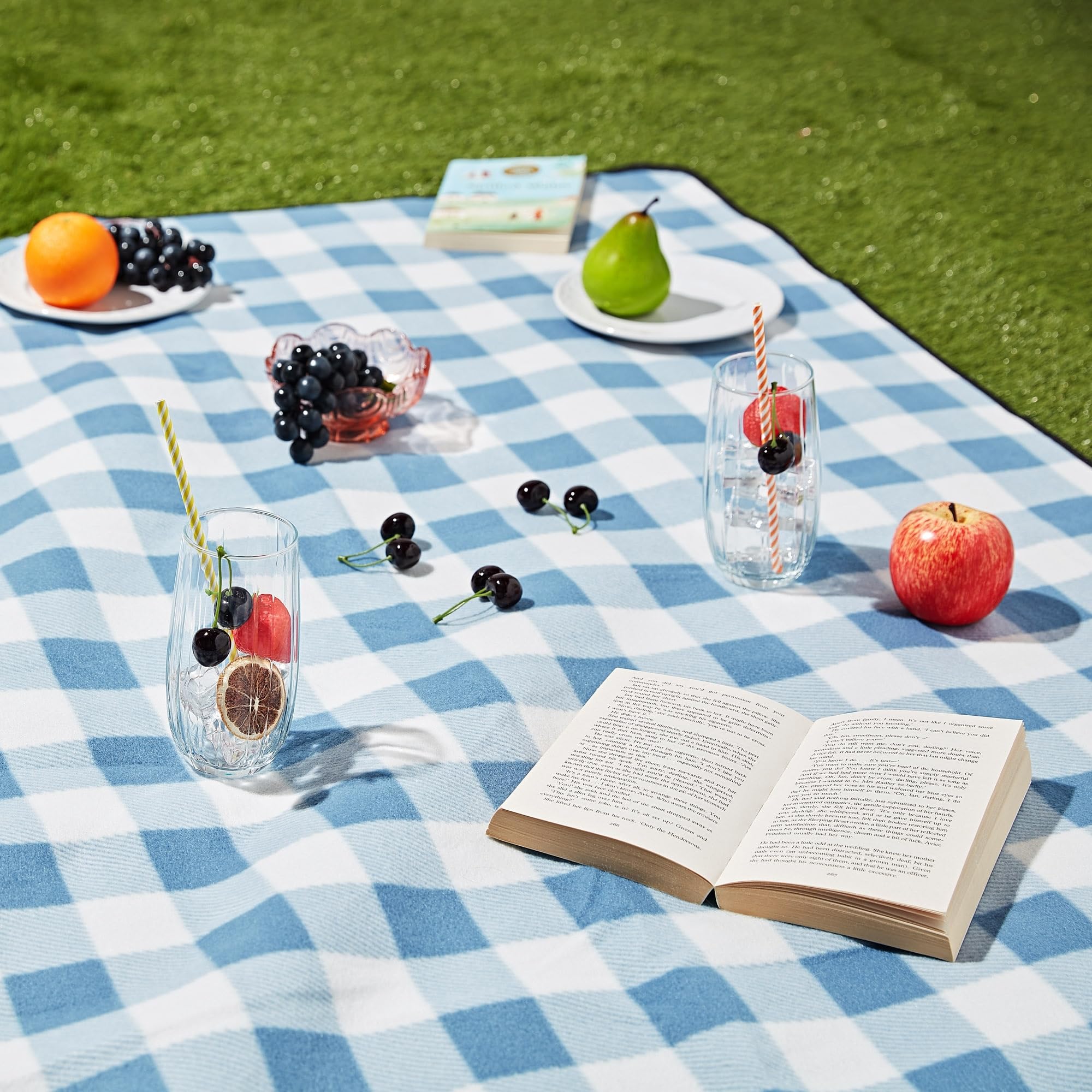 Haus Projekt Chequered Soft Fleece Picnic Blanket, 200x150 cm, Foldable and Portable Picnic Mat With Carry Handle, Camping Accessories for Travel, Hiking, Festival Essentials, Outdoor Camping Mat