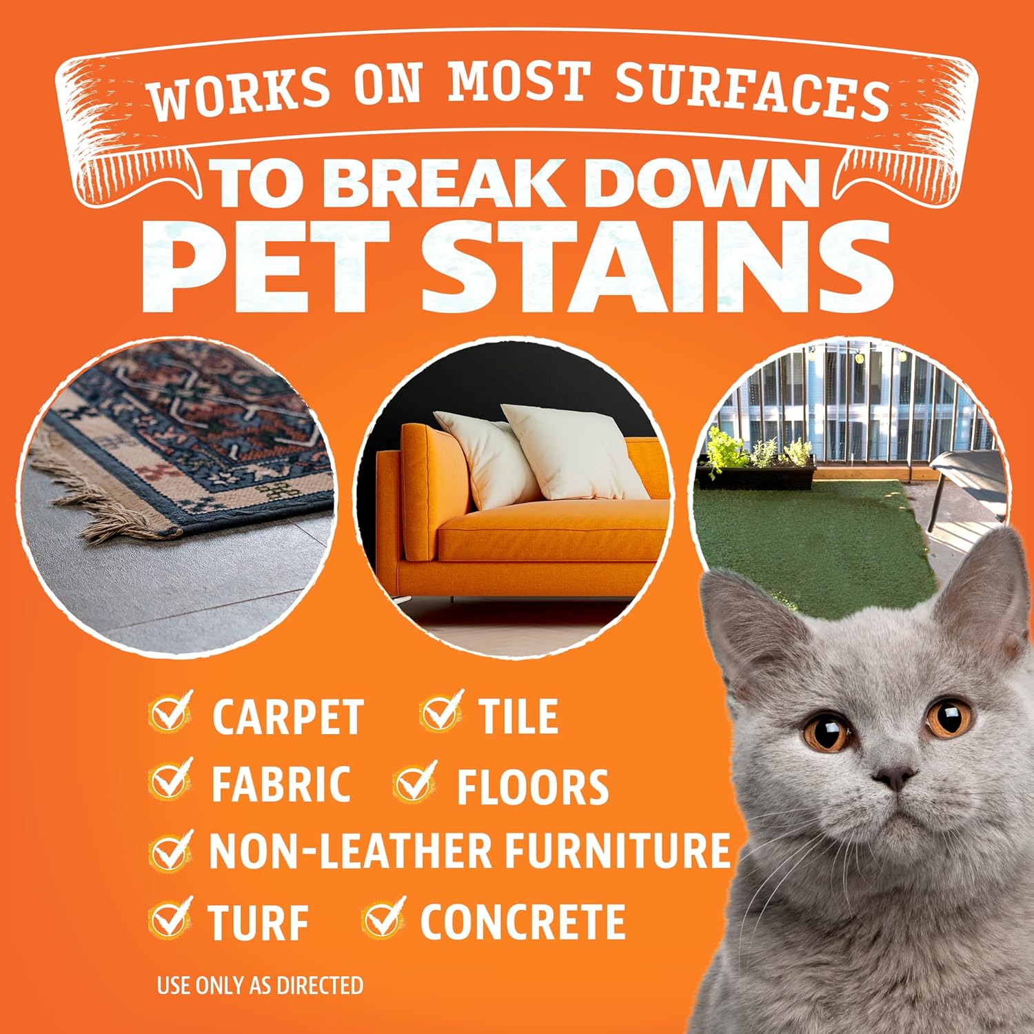 Angry Orange Cat Odor Eliminator and Enzyme Carpet Cleaner for Pets Fresh Scented Cat Urine Remover and Stain Remover for Home Use : Pet Supplies