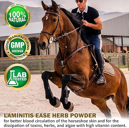 Miniatura 3 de V-POINT - Laminitis Ease - Suplementos de pezuñas para caballos - Producto para el cuidado de pezuñas de caballo a base de polvo natural - Ideal