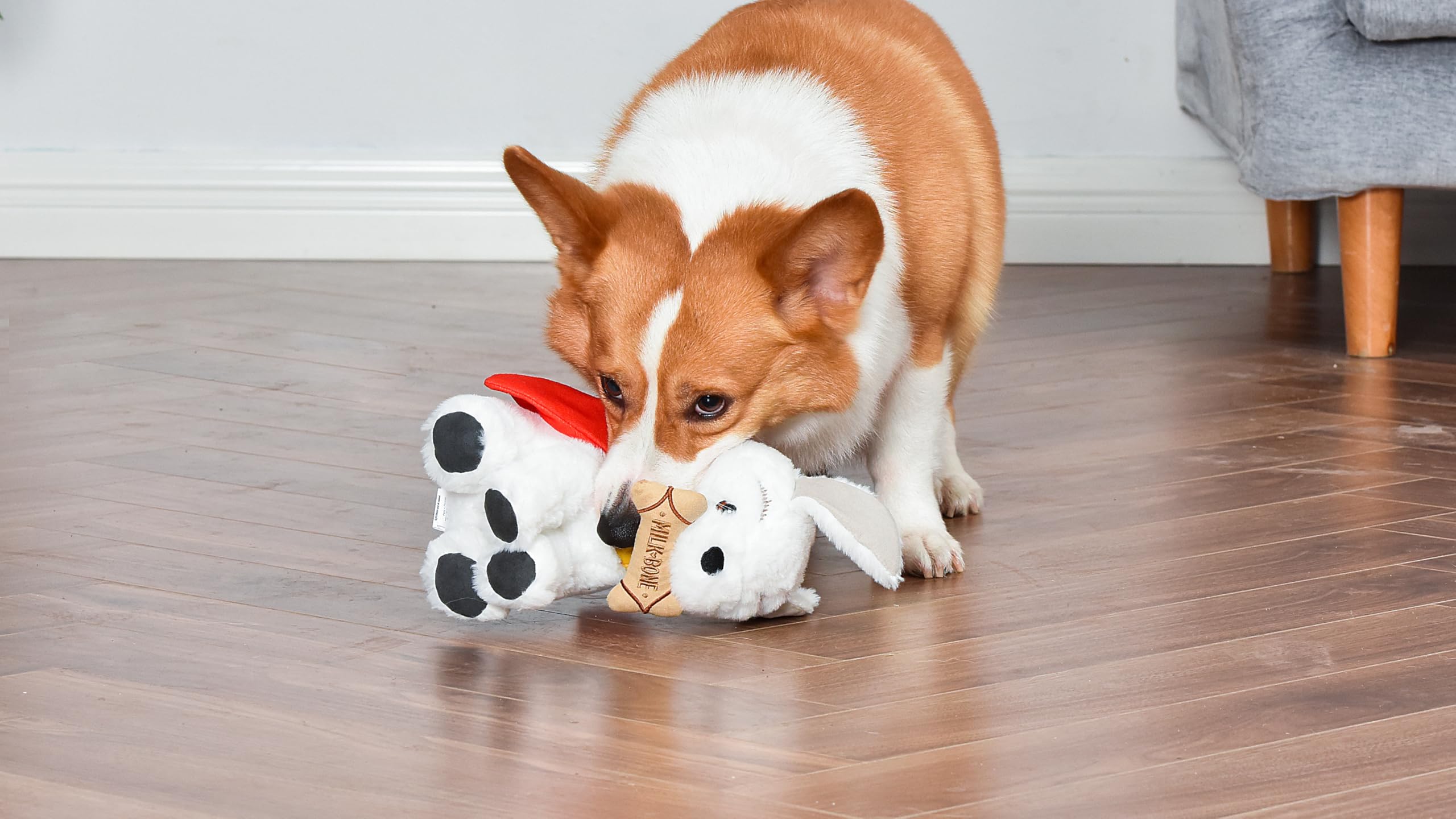 DC Comics Superman Krypto The Superdog Plüsch-Hundespielzeug – weiches quietschendes Hundespielzeug mit Knistergeräuschen, Umhang & Milchknochen-Leckerli-Design, 19,1 cm