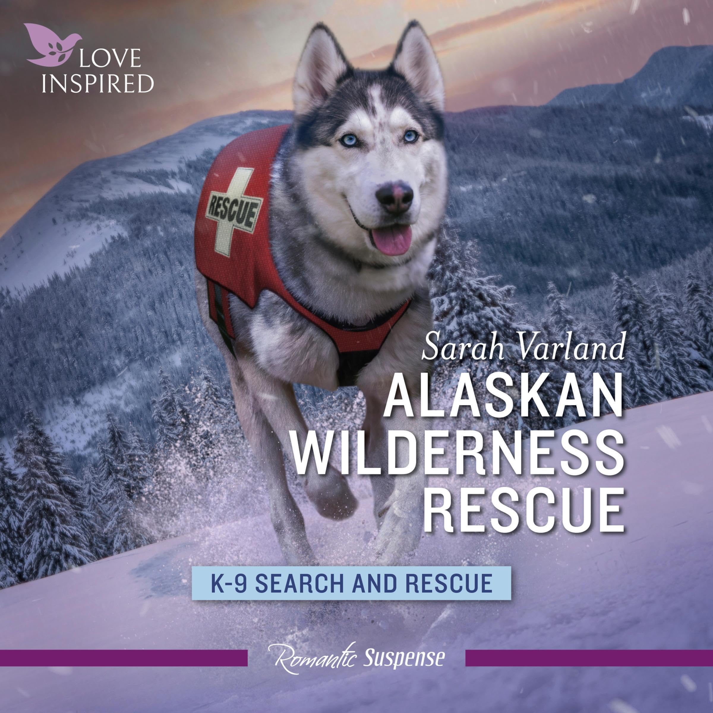 Cover art for Alaskan Wilderness Rescue