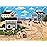 Buffalo Games - Charles Wysocki - Nantucket Breeze - 1000 Piece Jigsaw Puzzle for Adults -Challenging Puzzle Perfect for Game Nights - Finished Size is 26.75 x 19.75